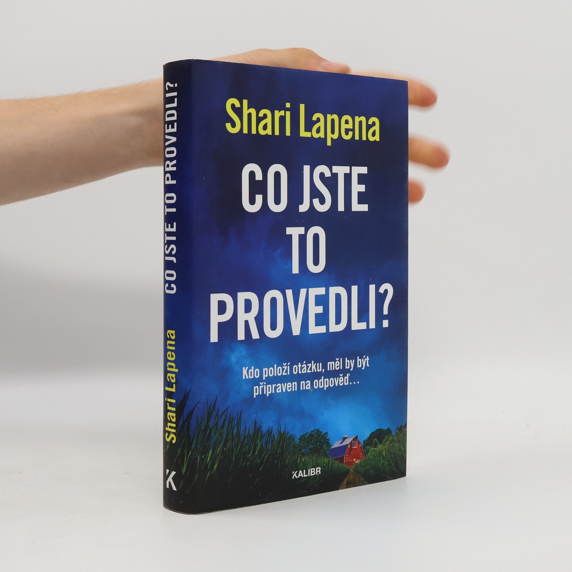 Shari Lapena Co jste to provedli?