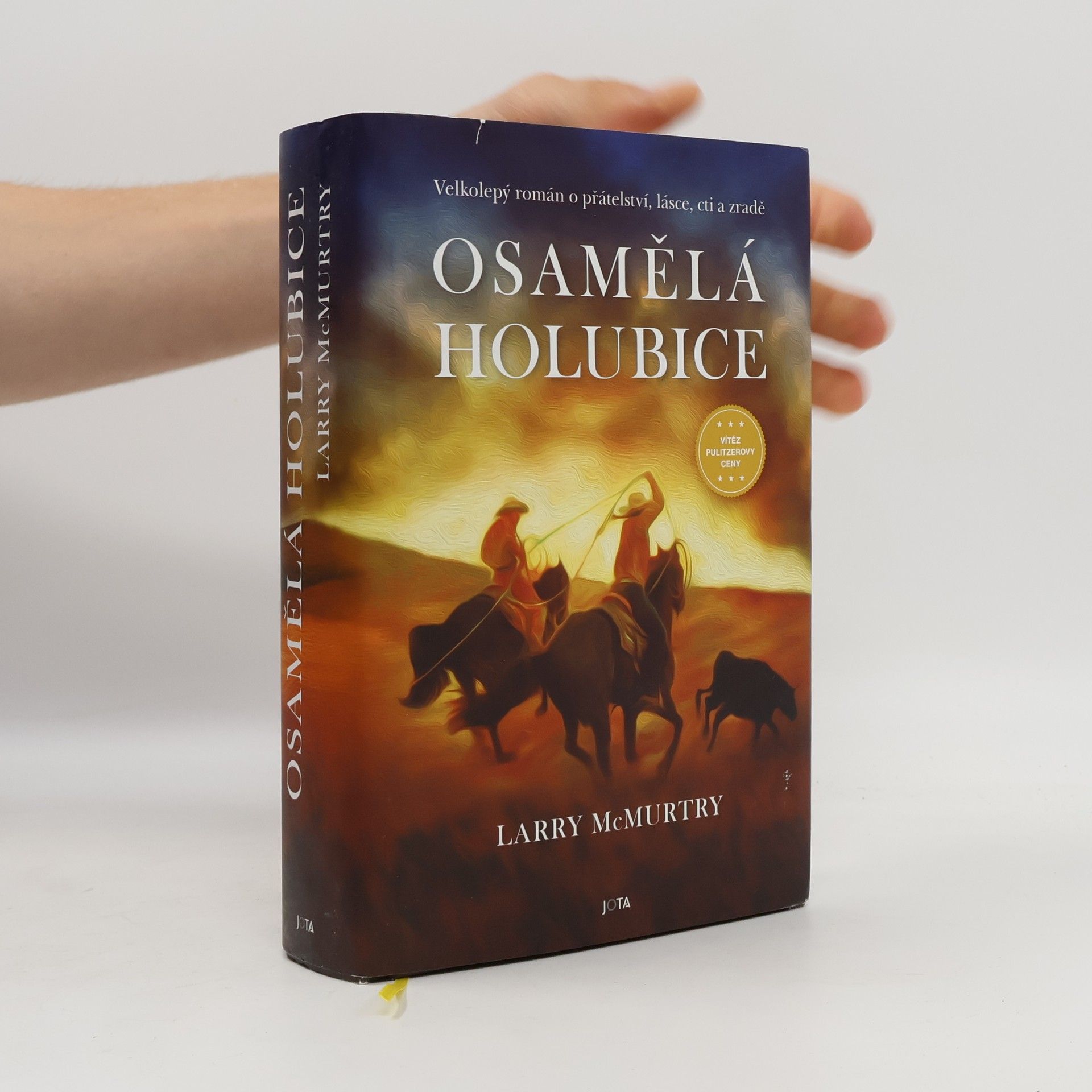 Larry McMurtry Osamělá holubice