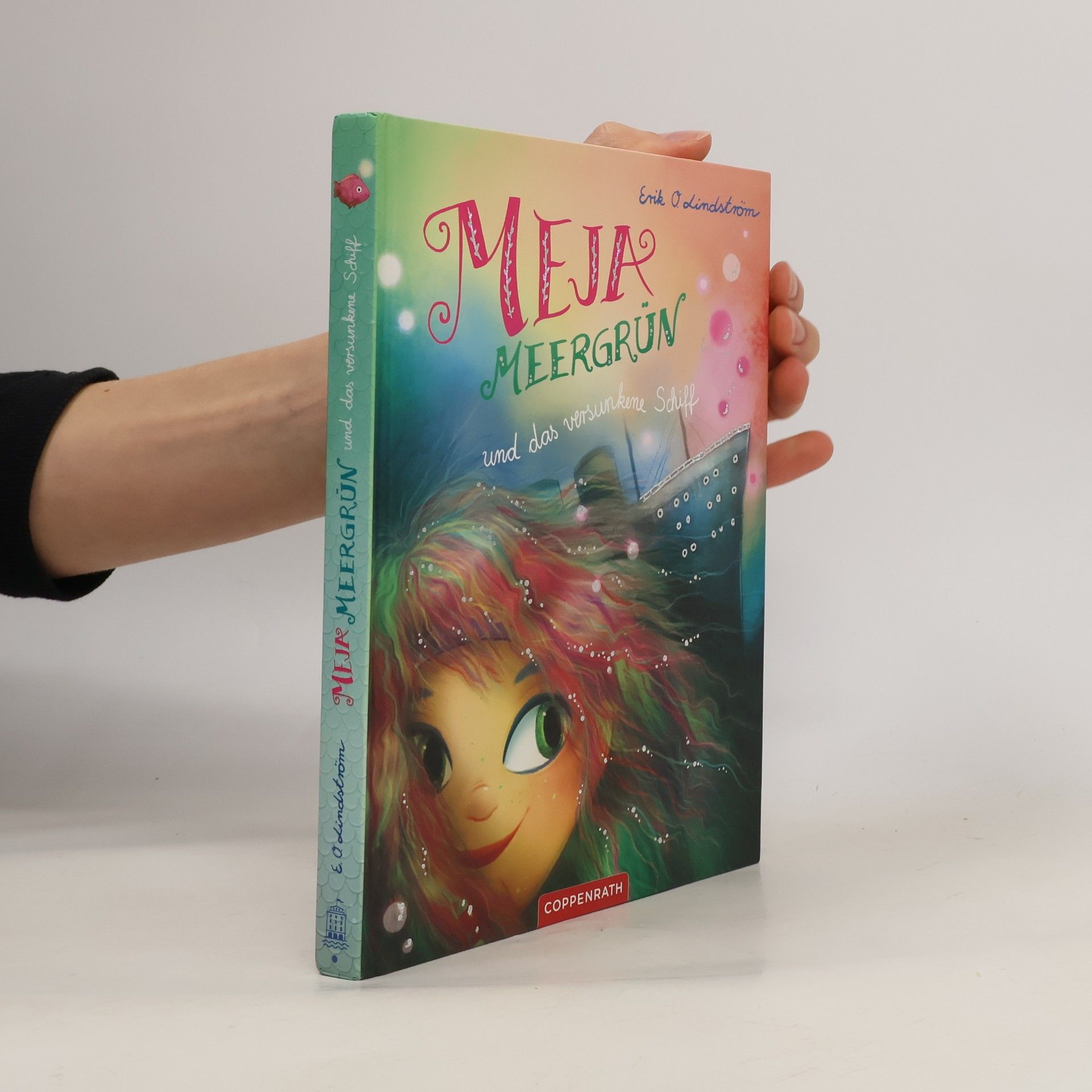 Erik Ole Lindström Meja Meergrün und das versunkene Schiff