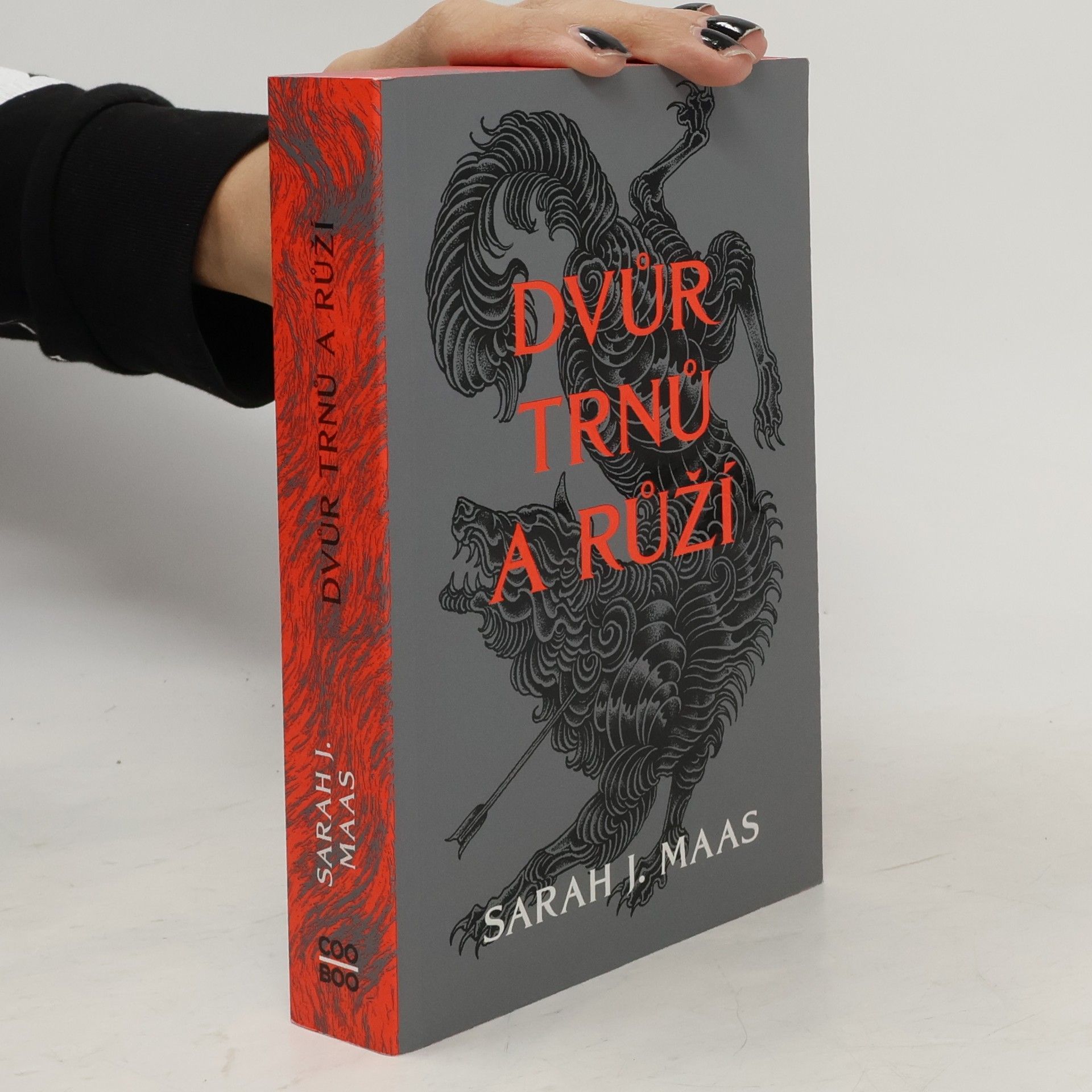 Sarah J. Maas Dvůr trnů a růží