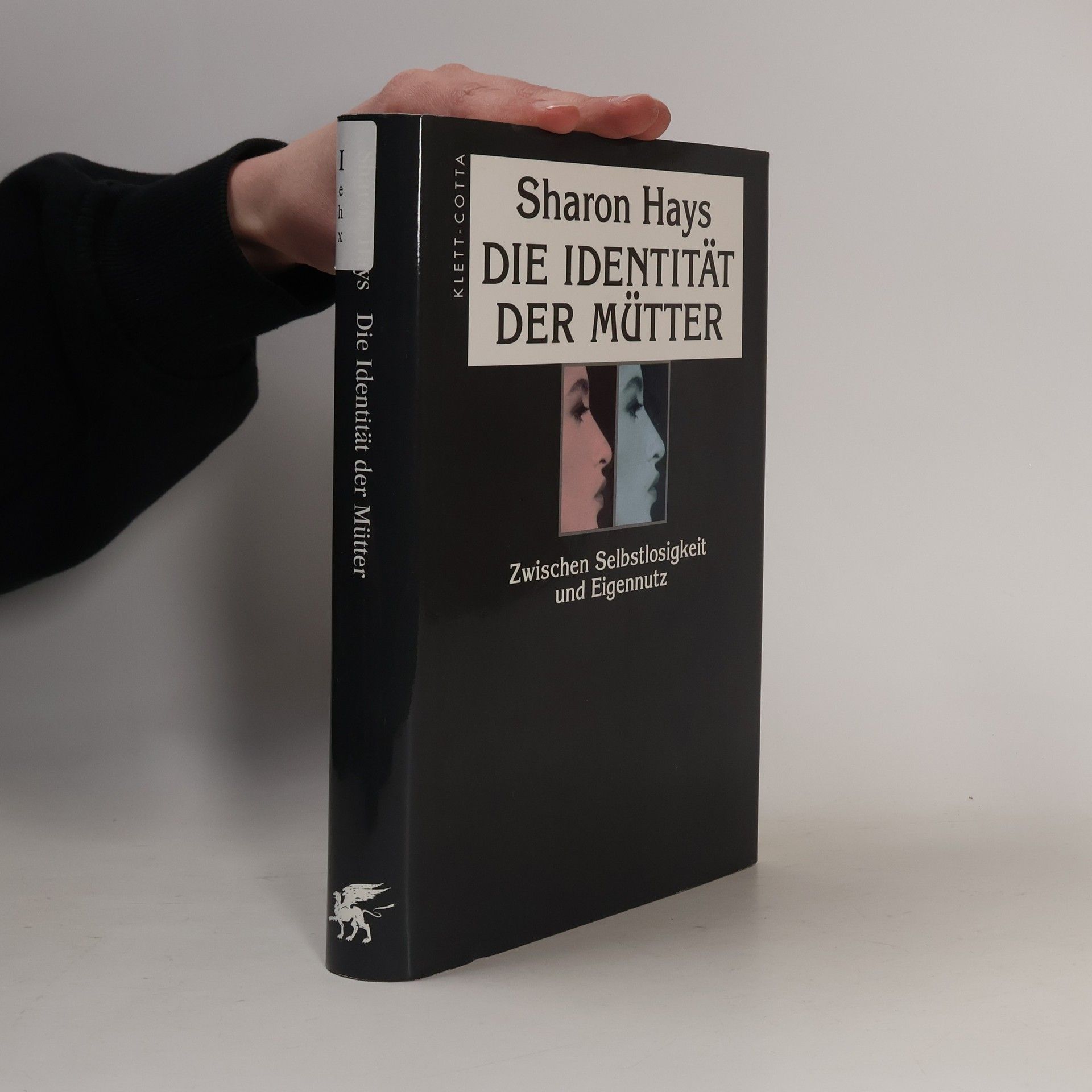 Sharon Hays Die Identität der Mütter