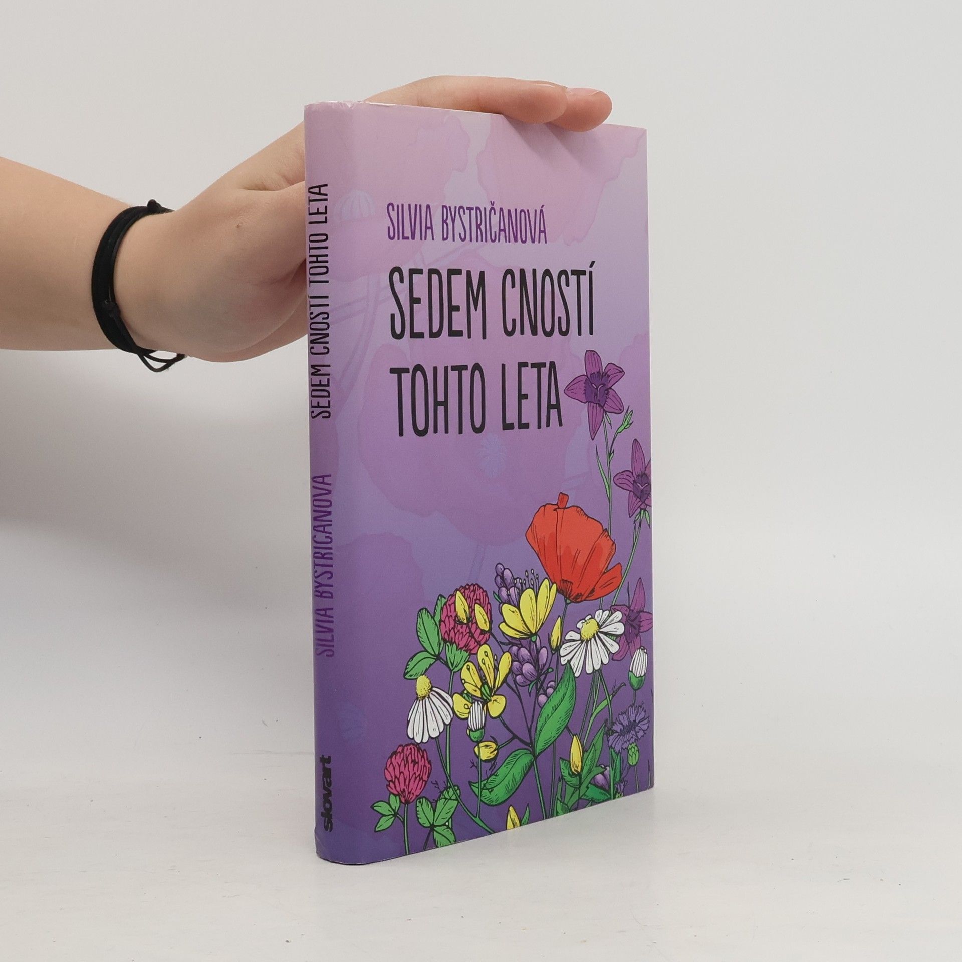 Silvia Bystričanová Sedem cností tohto leta