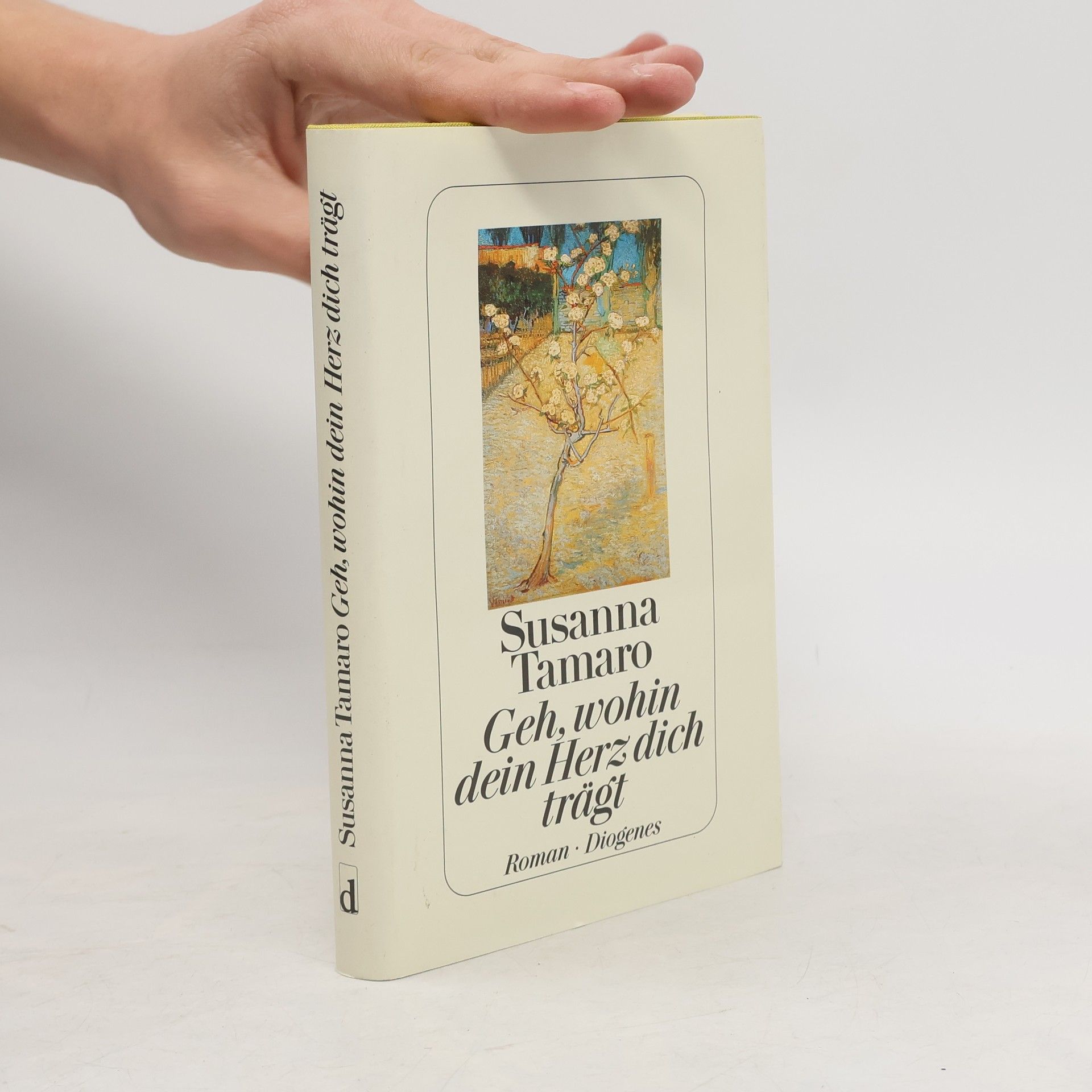 Susanna Tamaro Geh, wohin dein Herz dich trägt