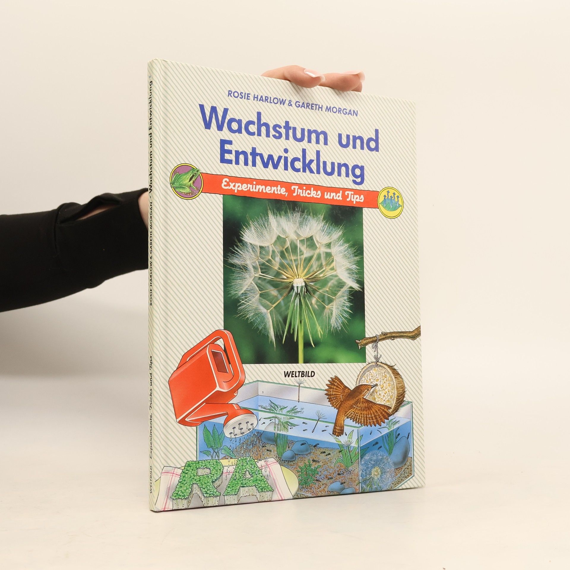 Gareth Morgan Wachstum und Entwicklung