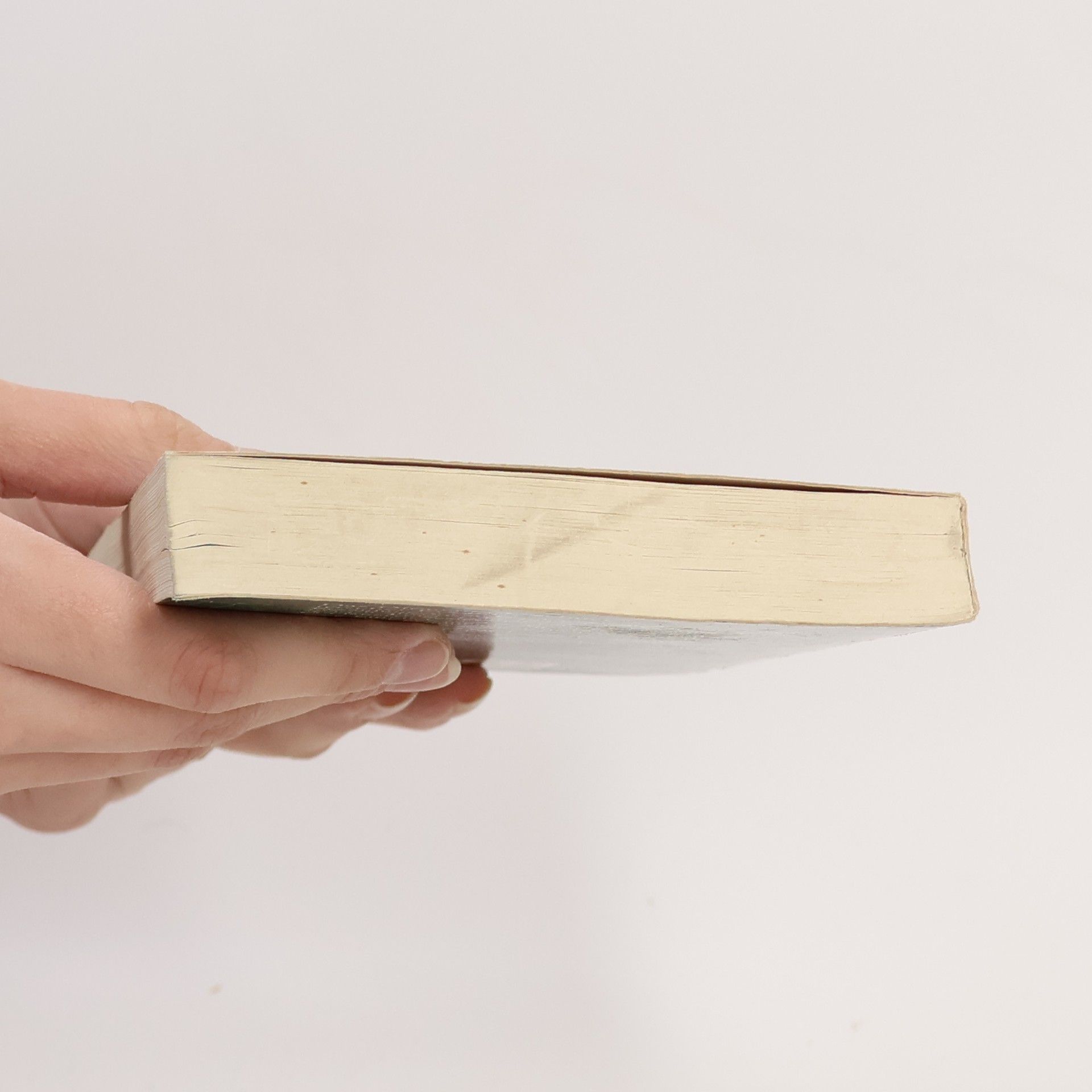 Gerd Haffmans Das Diogenes Lesebuch irischer Erzähler