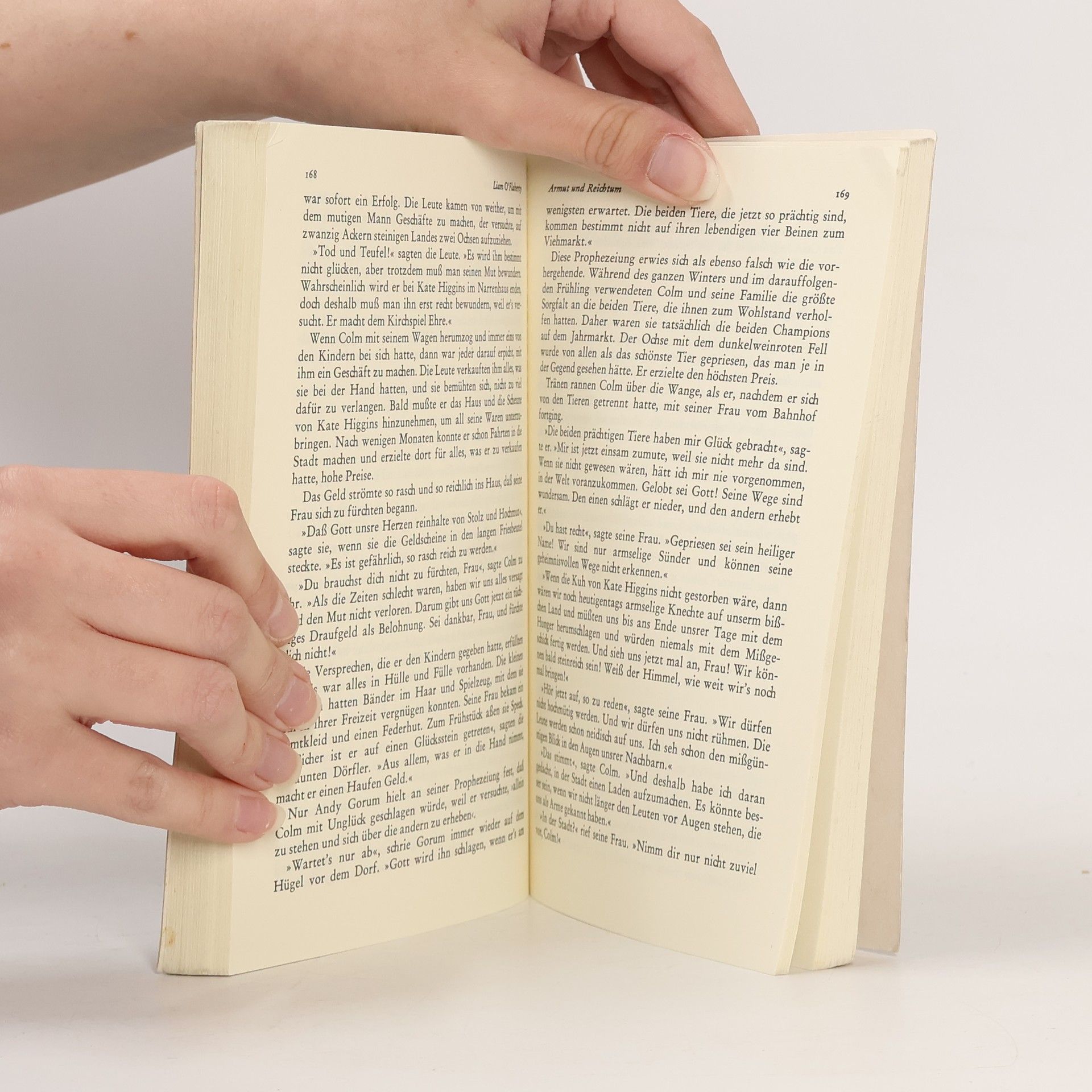 Gerd Haffmans Das Diogenes Lesebuch irischer Erzähler