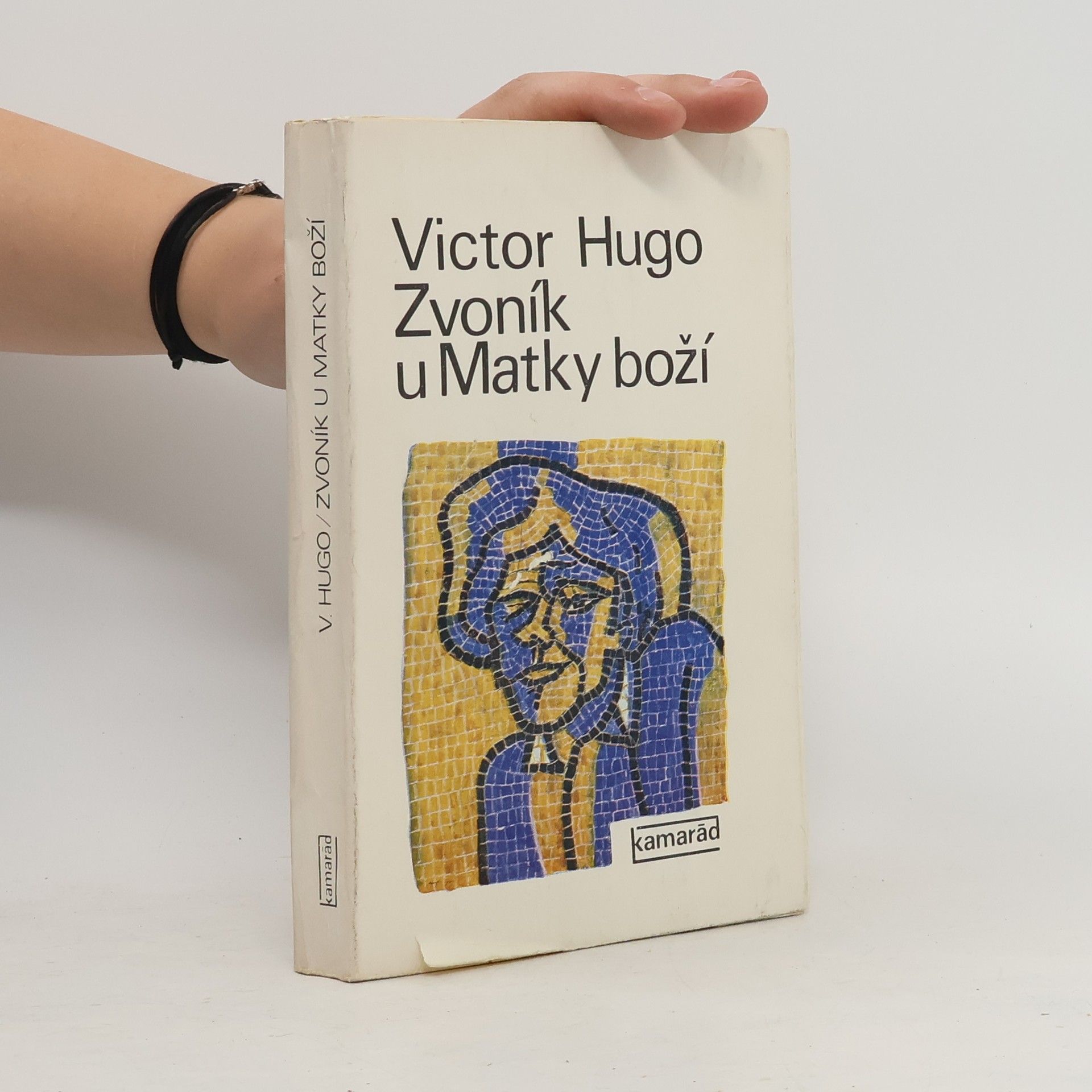 Milena Tomášková Zvoník u Matky boží