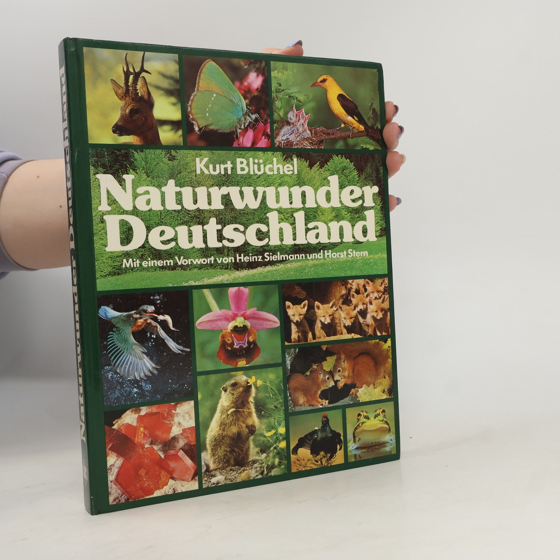 Kurt Blüchel Naturwunder Deutschland