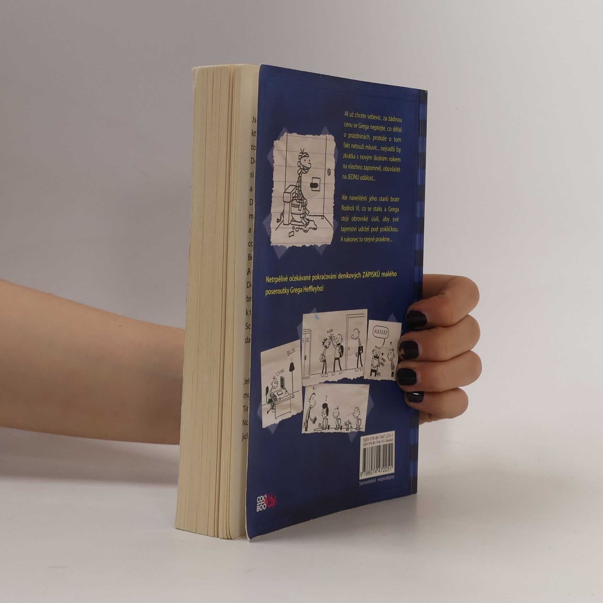 Jeff Kinney Deník malého poseroutky 2. Roderick je King