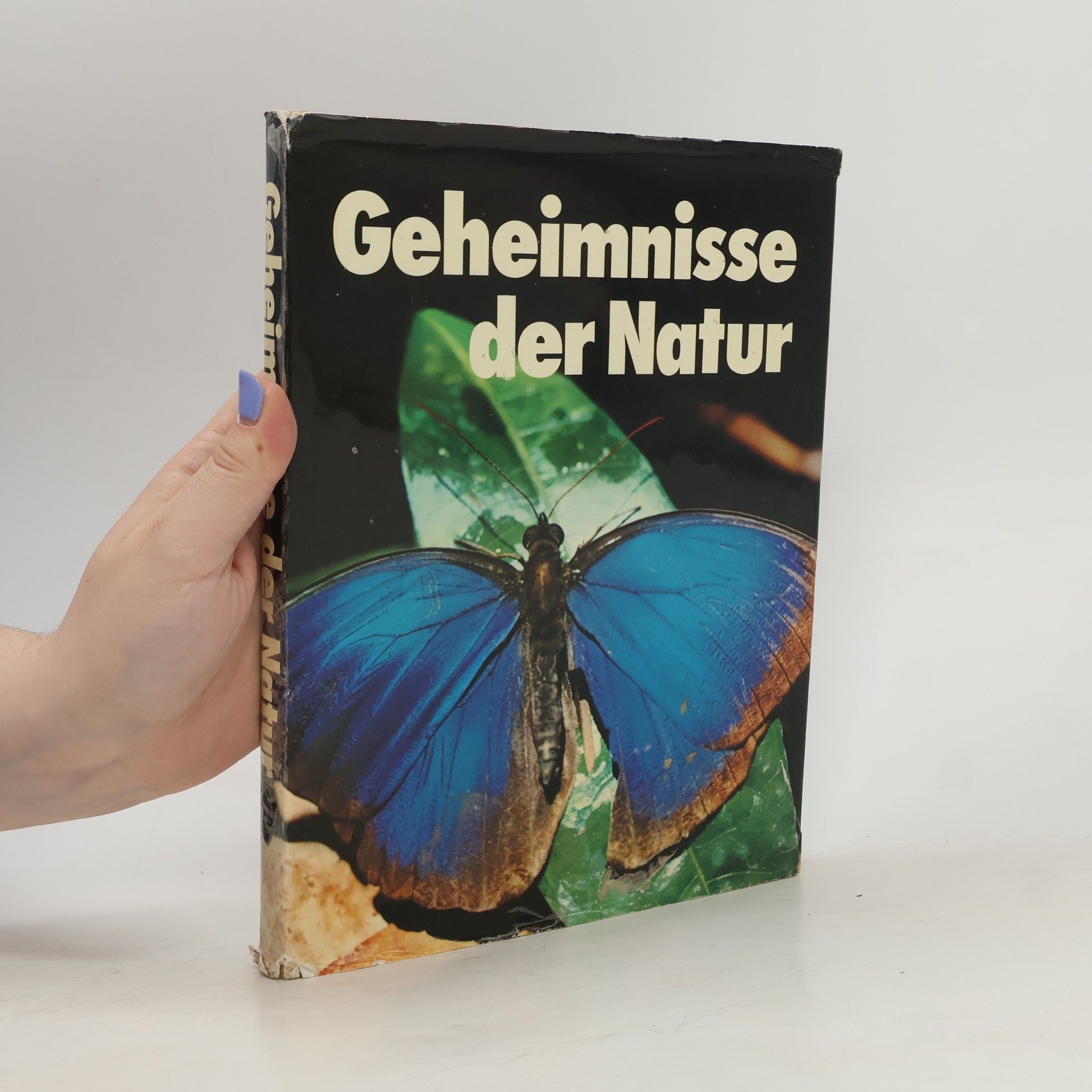 Helga Menzel Tettenborn Geheimnisse der Natur