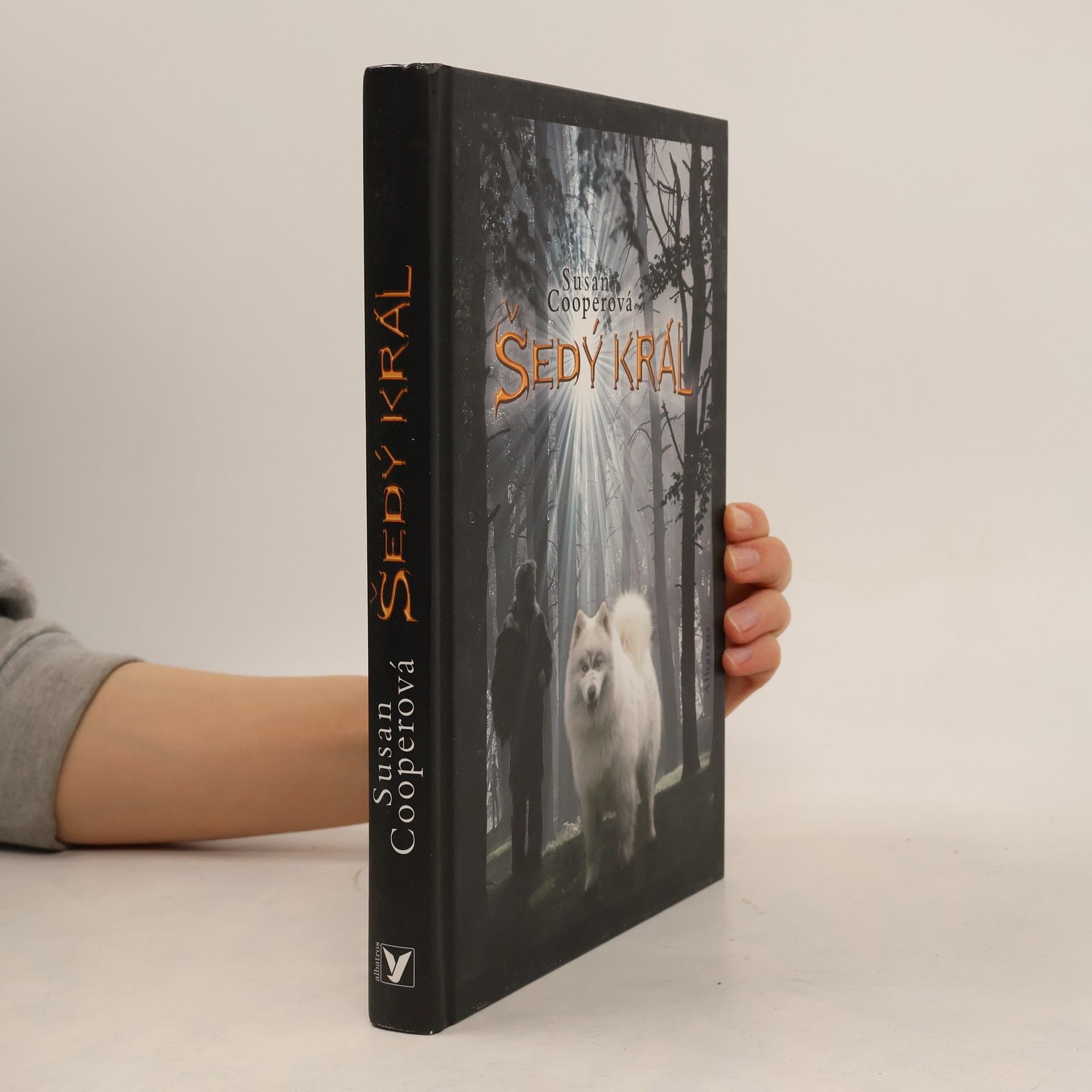 Susan Cooper Šedý král. Probuzení Tmy. Díl 3.