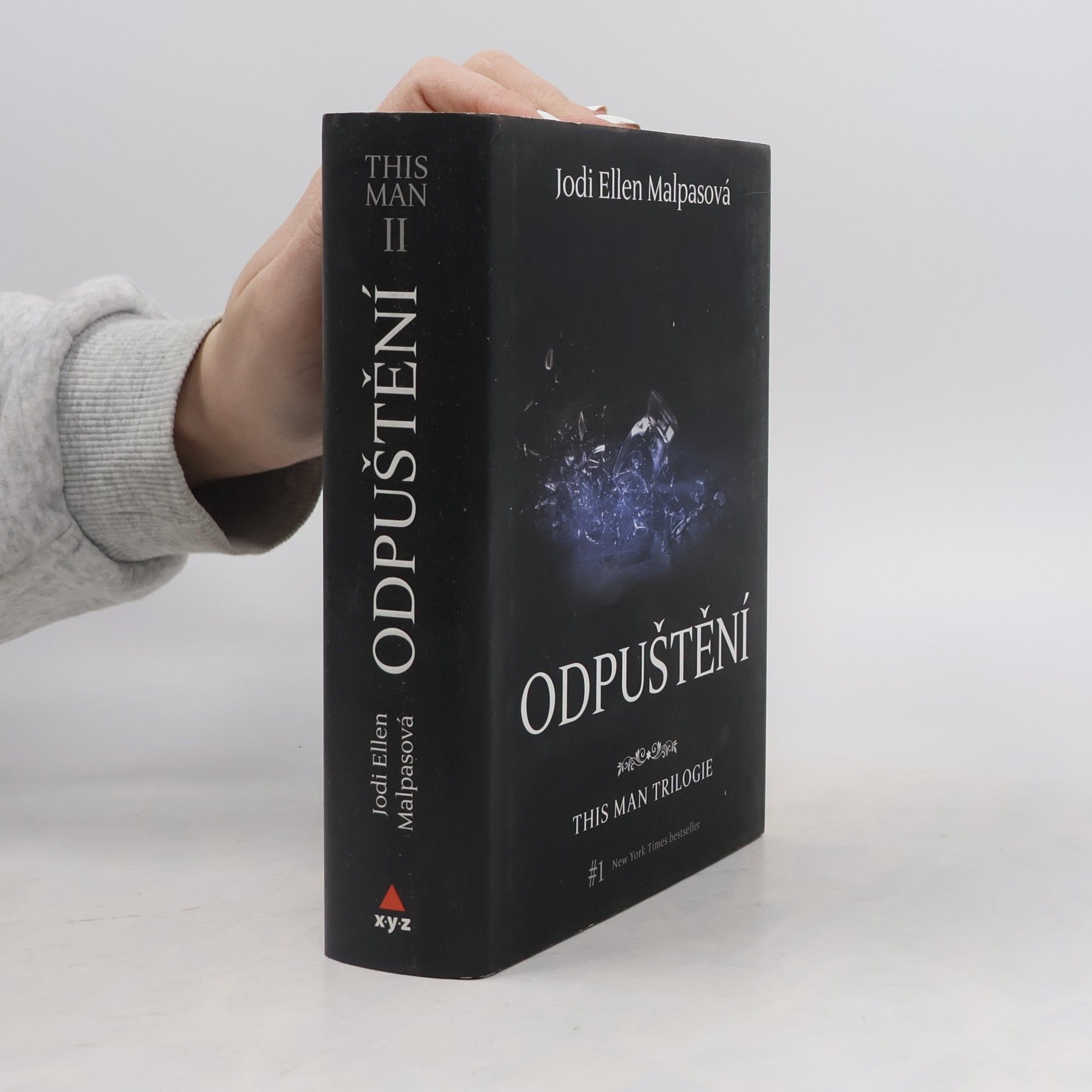 Jodi Ellen Malpas This man trilogie : Odpuštění