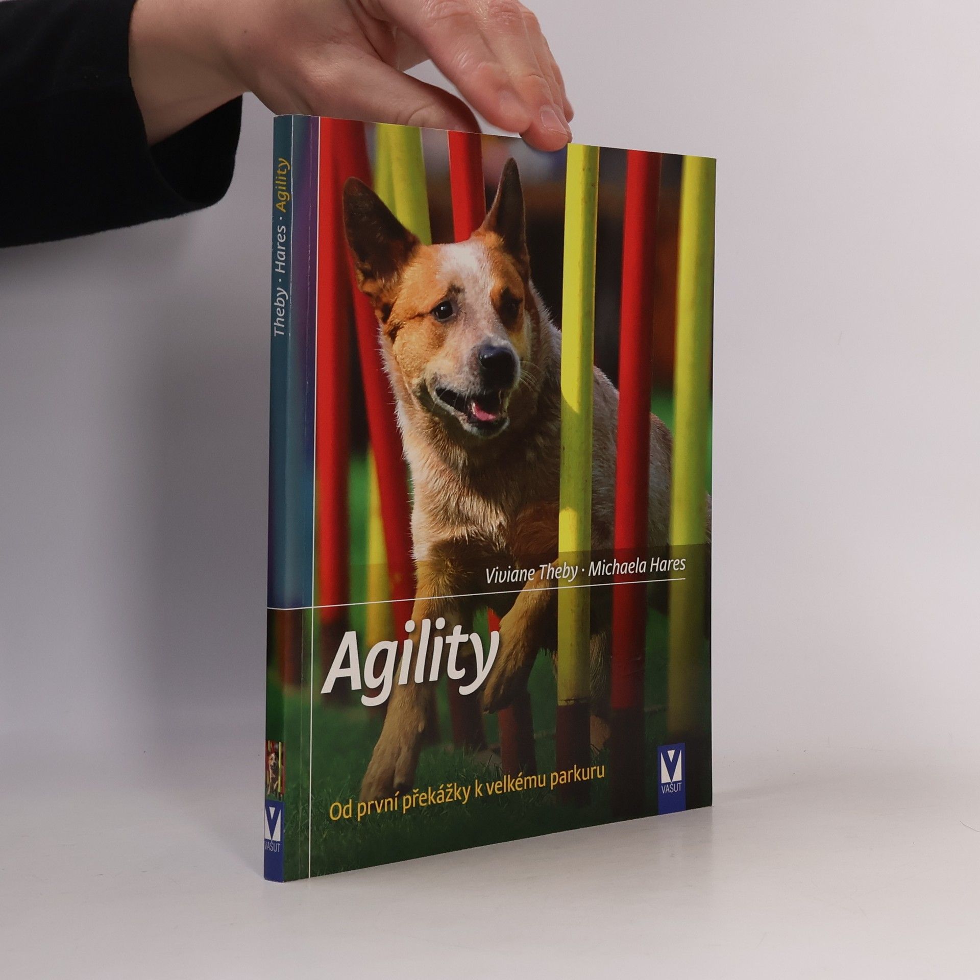 Michaela Hares Agility - Od první překážky k velkému parkuru