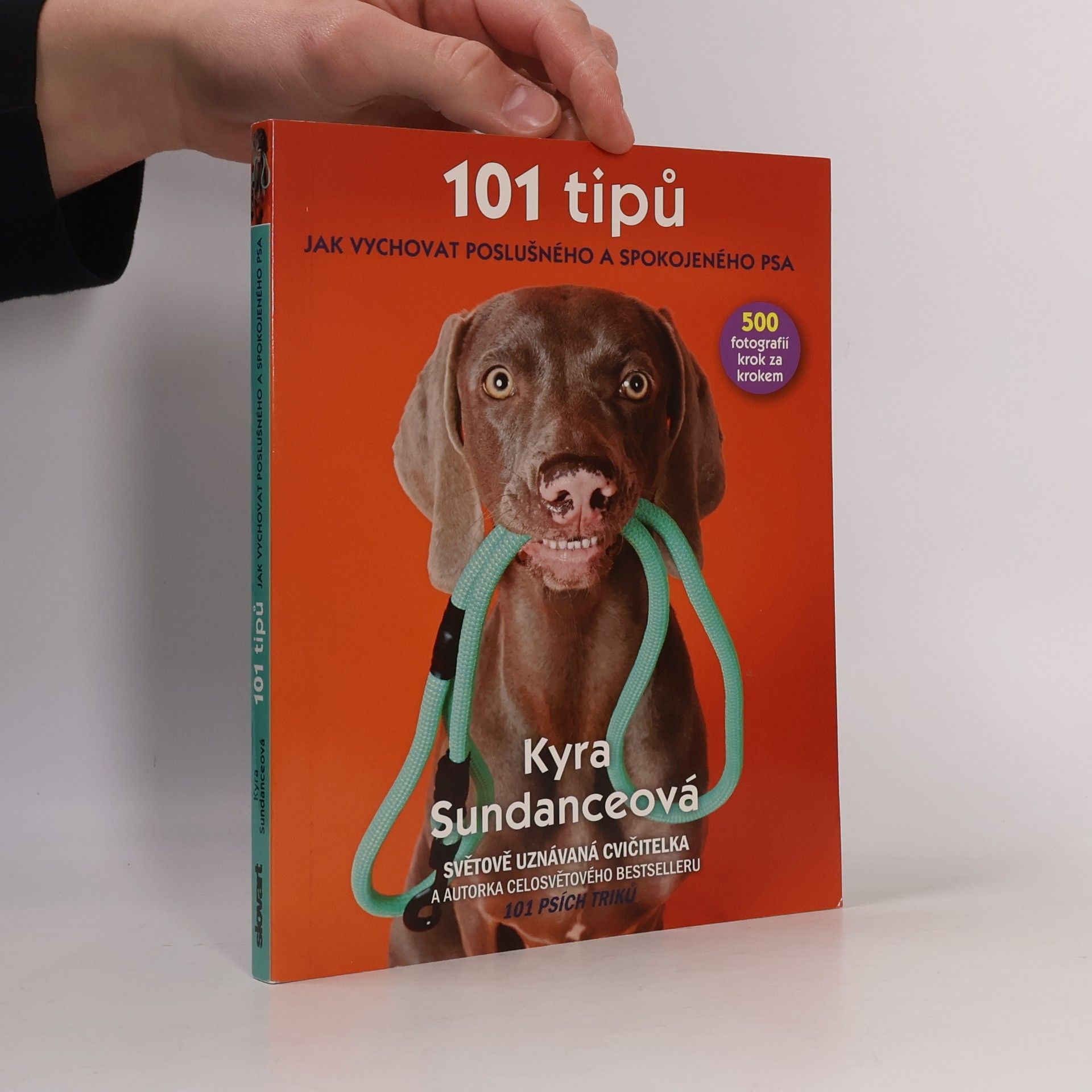 Michael Talián 101 tipů jak vychovat poslušného a spokojeného psa