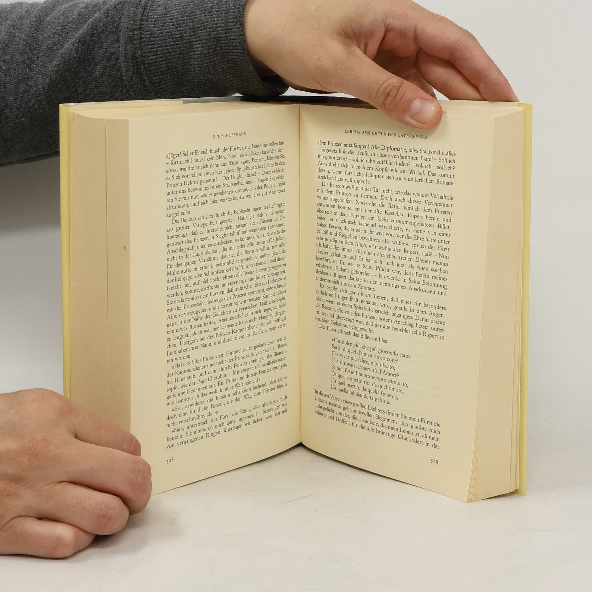 Autorenkollektiv Märchen der Dichter. E.T.A. Hoffmann, Fouque, Novalis