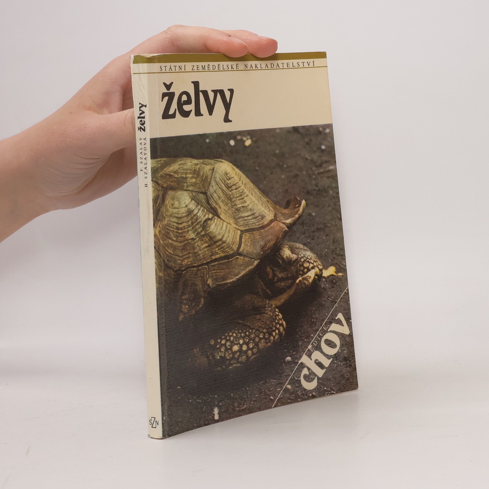 Helena Szalayová Želvy