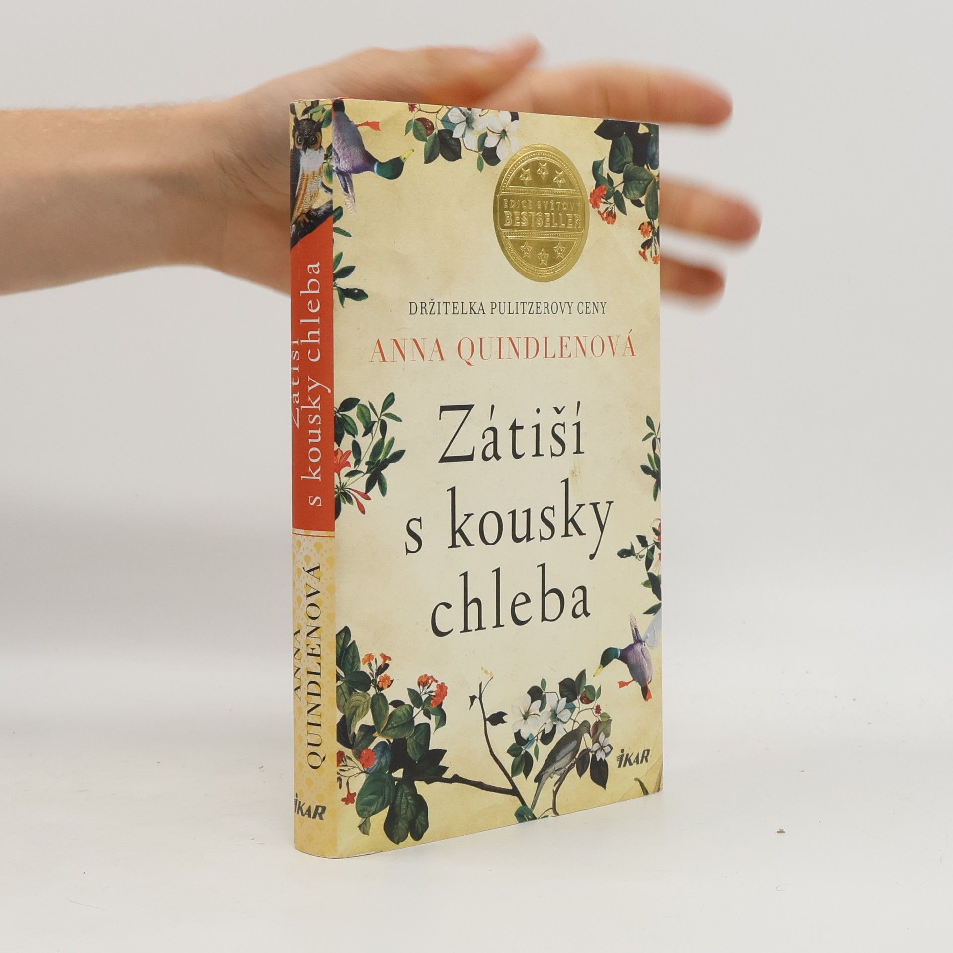 Anna Quindlen Zátiší s kousky chleba