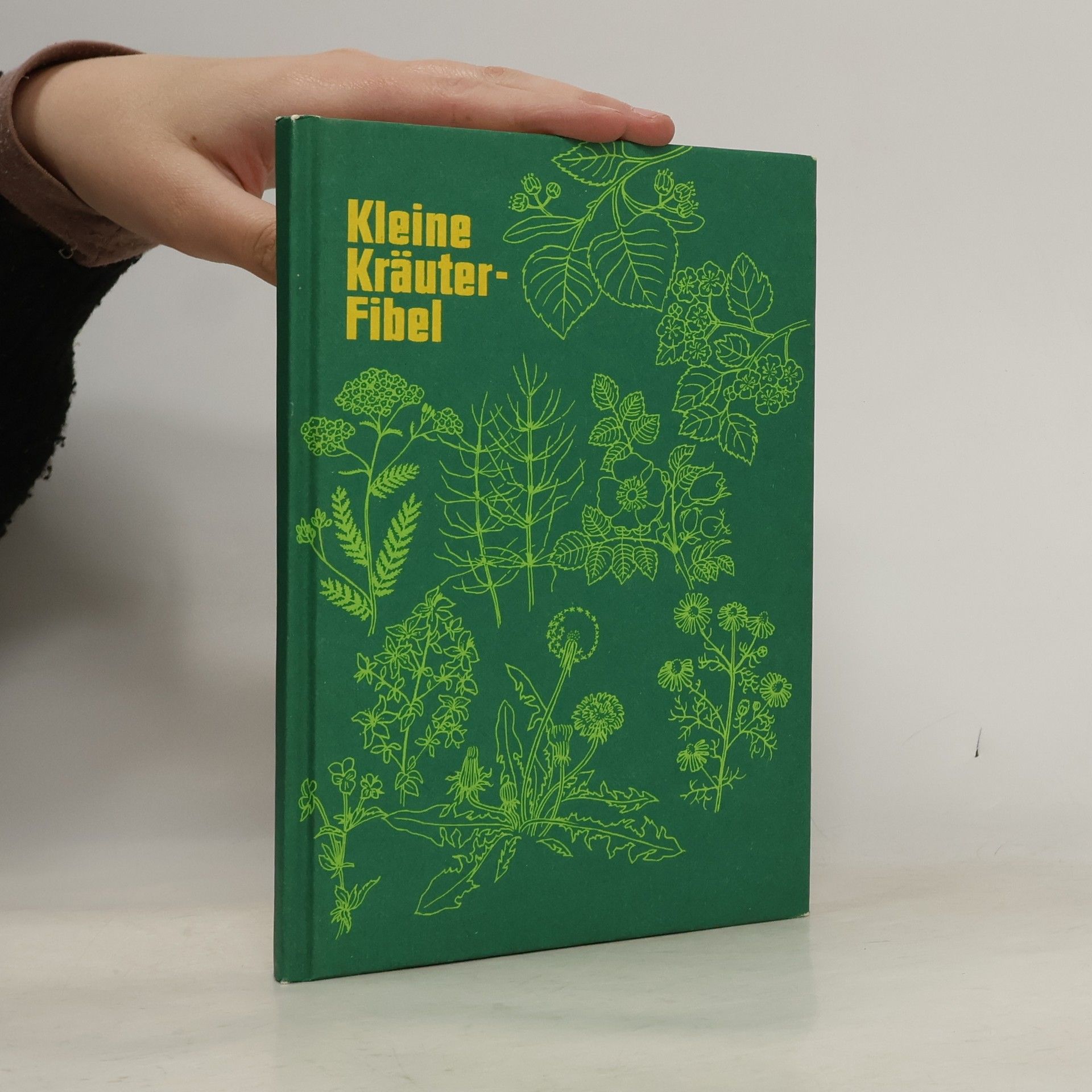 Autorenkollektiv Kleine Kräuterfibel