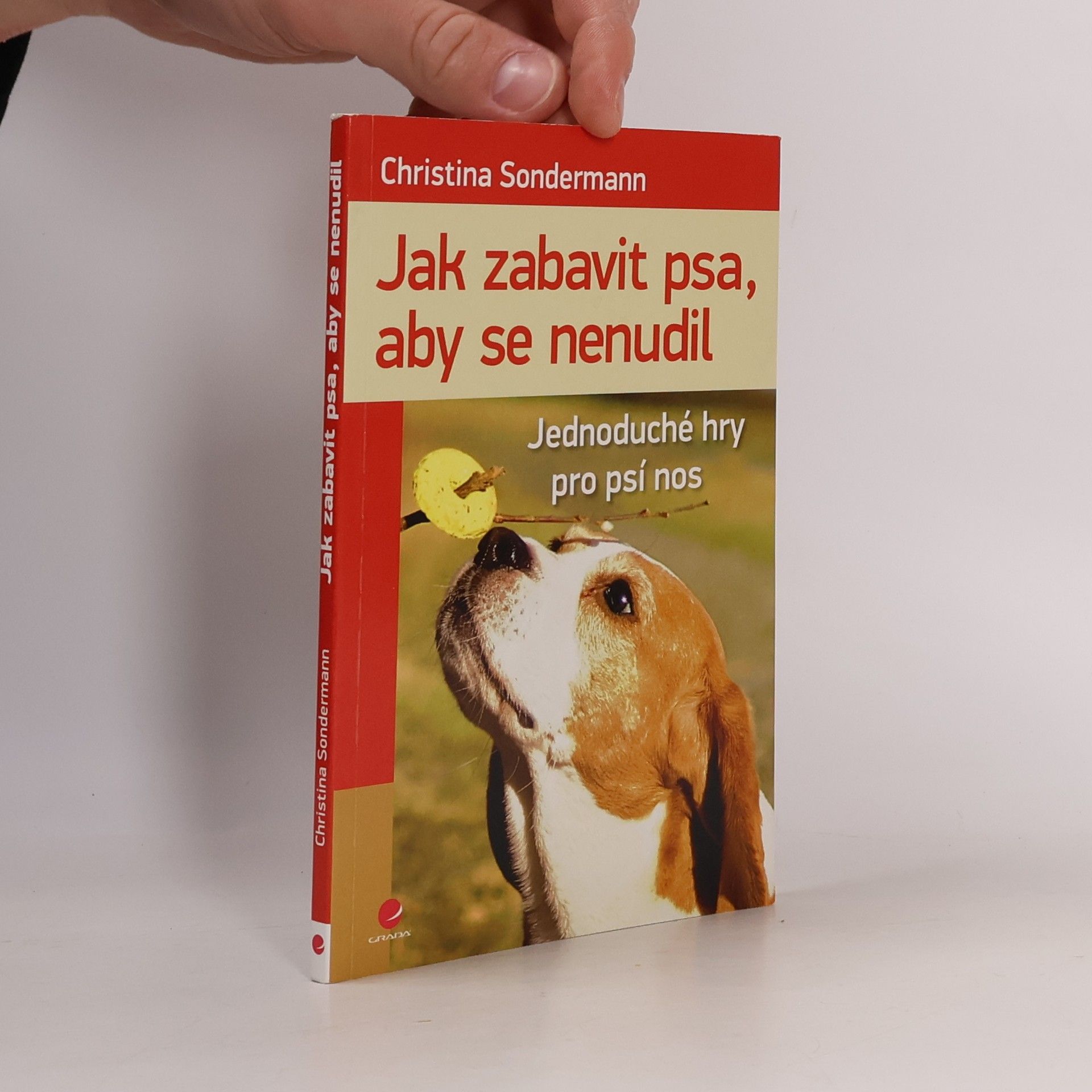 Christina Sondermann Jak zabavit psa, aby se nenudil : jednoduché hry pro psí nos