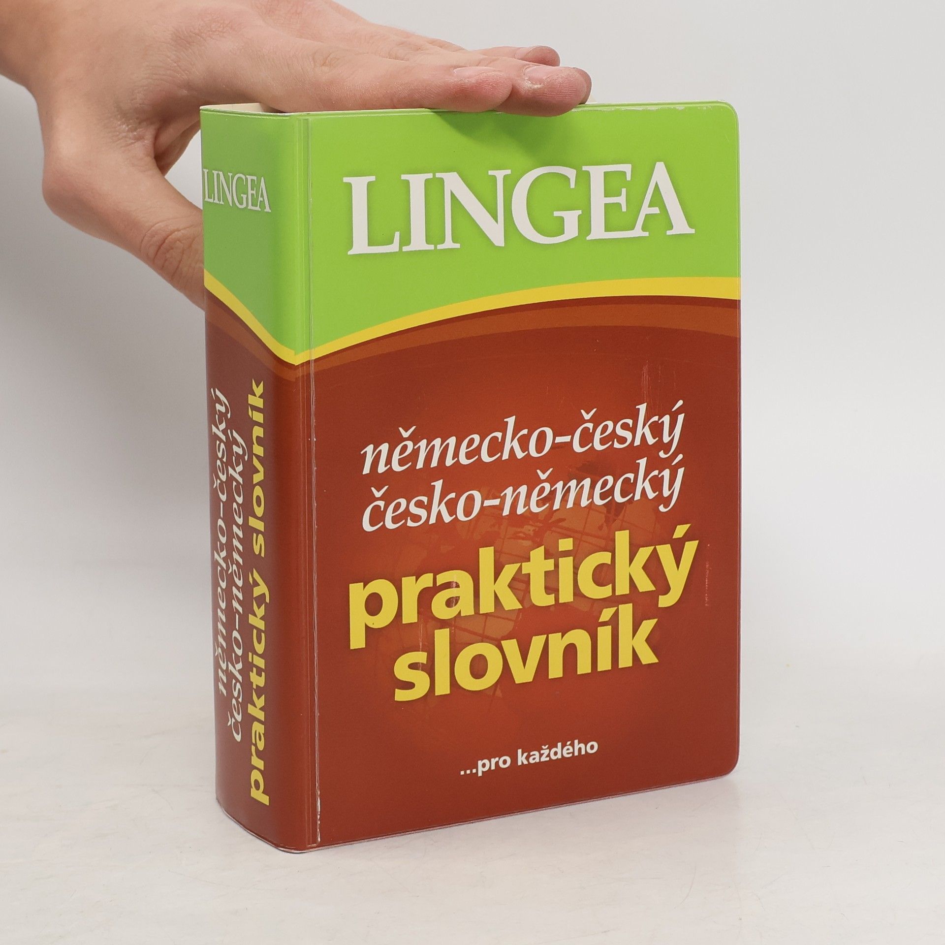 Autorenkollektiv Německo-český, česko-německý praktický slovník