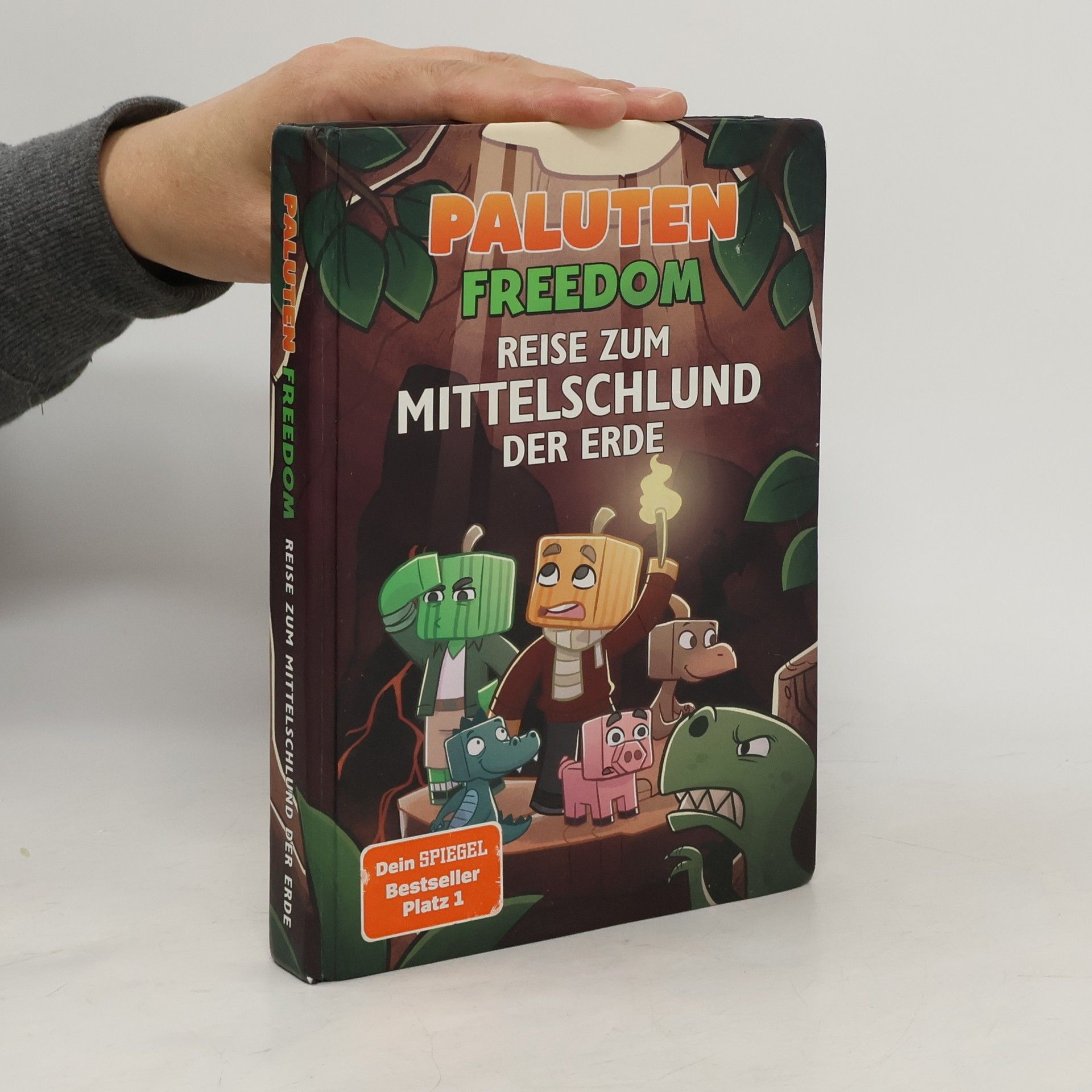 Klaas Kern Reise zum Mittelschlund der Erde