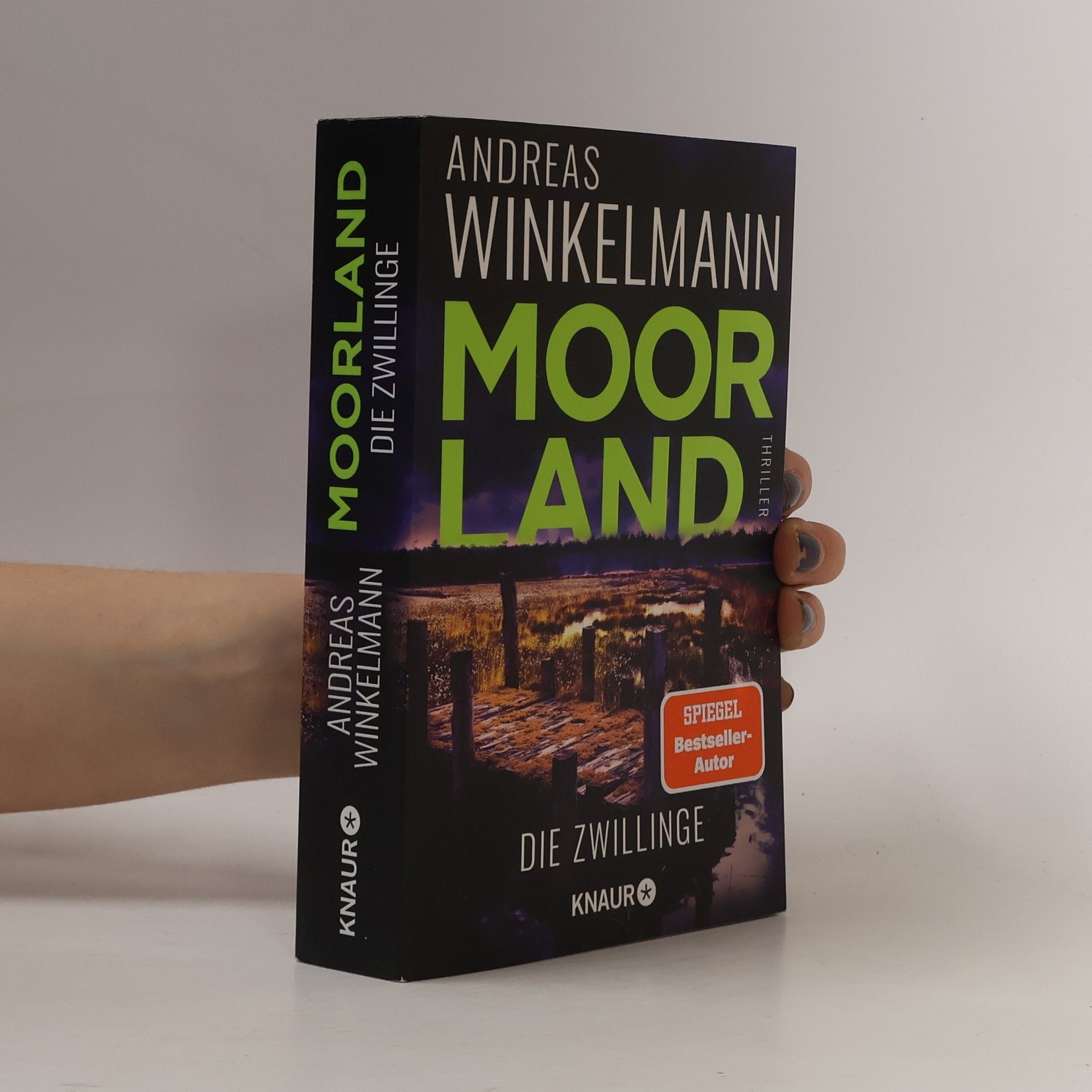 Hendrik Winter Moorland. Die Zwillinge