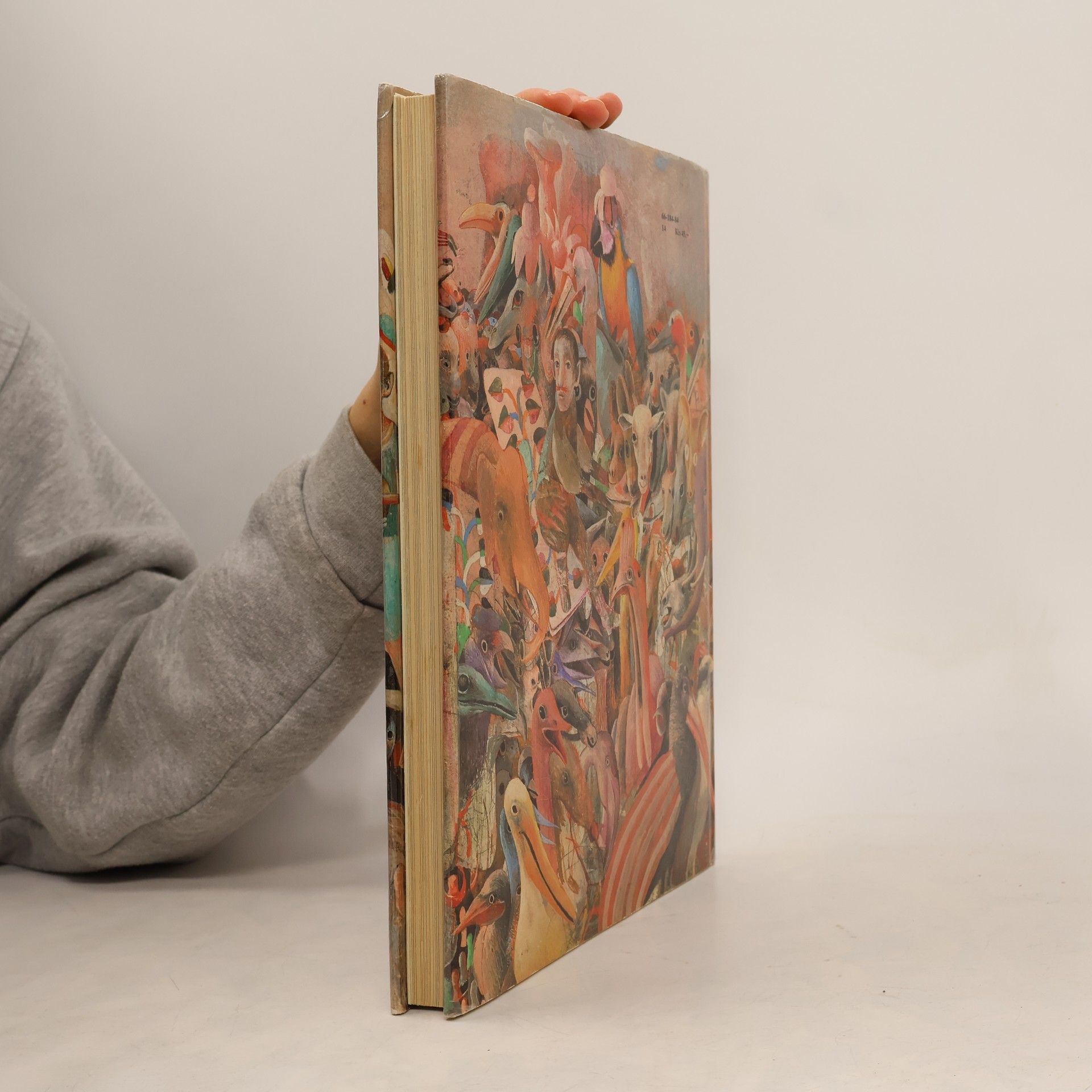 Lewis Carroll Alica v krajine zázrakov