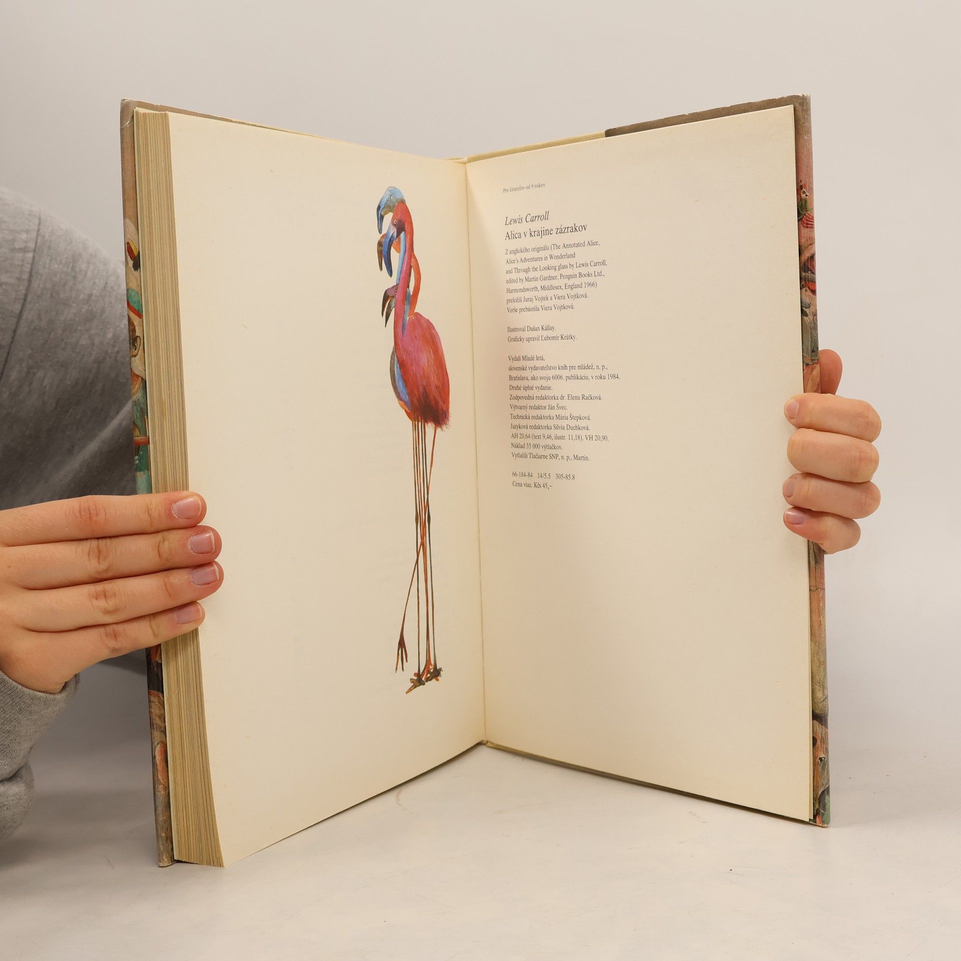 Lewis Carroll Alica v krajine zázrakov