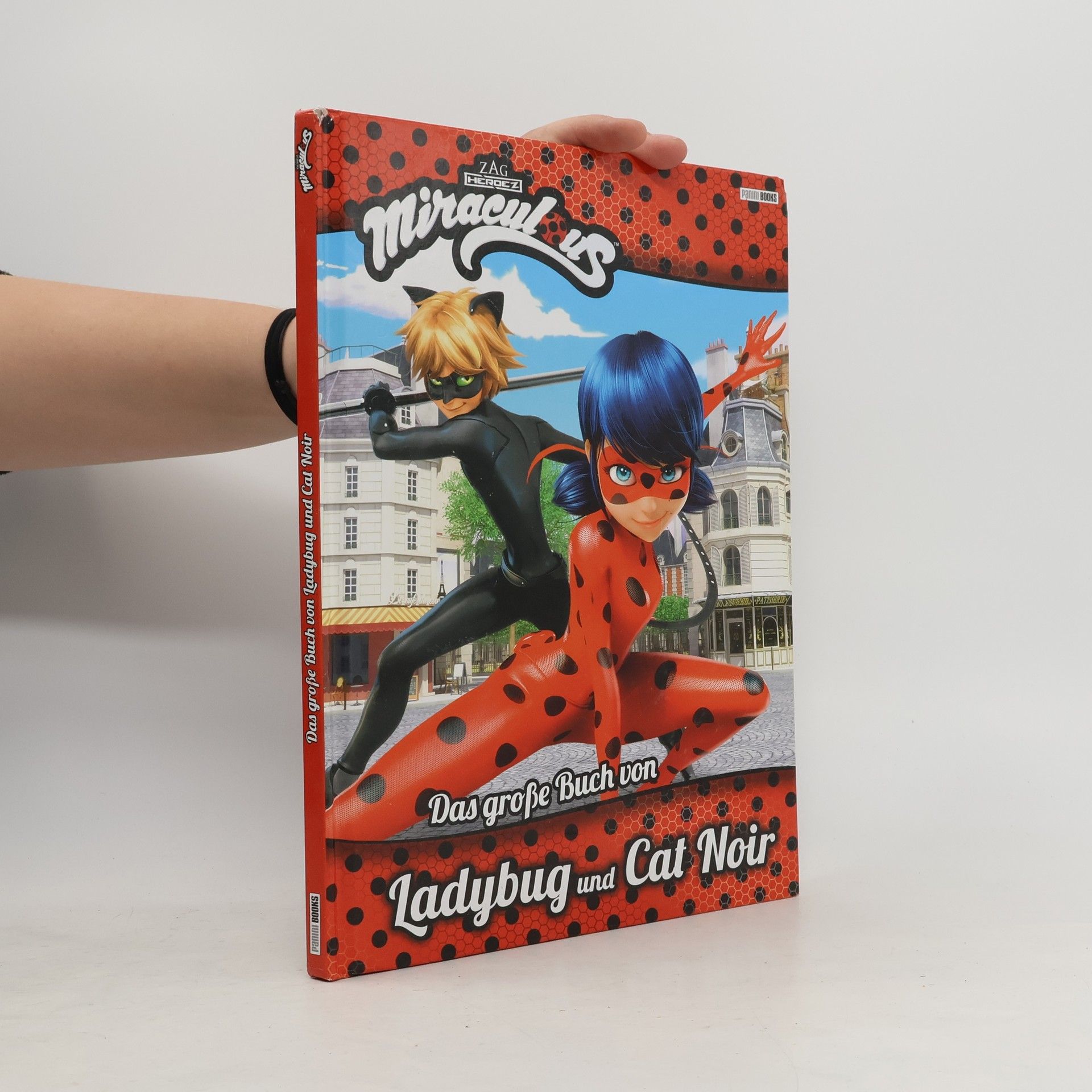 Claudia Weber-Multhaupt Miraculous: Das große Buch von Ladybug und Cat Noir