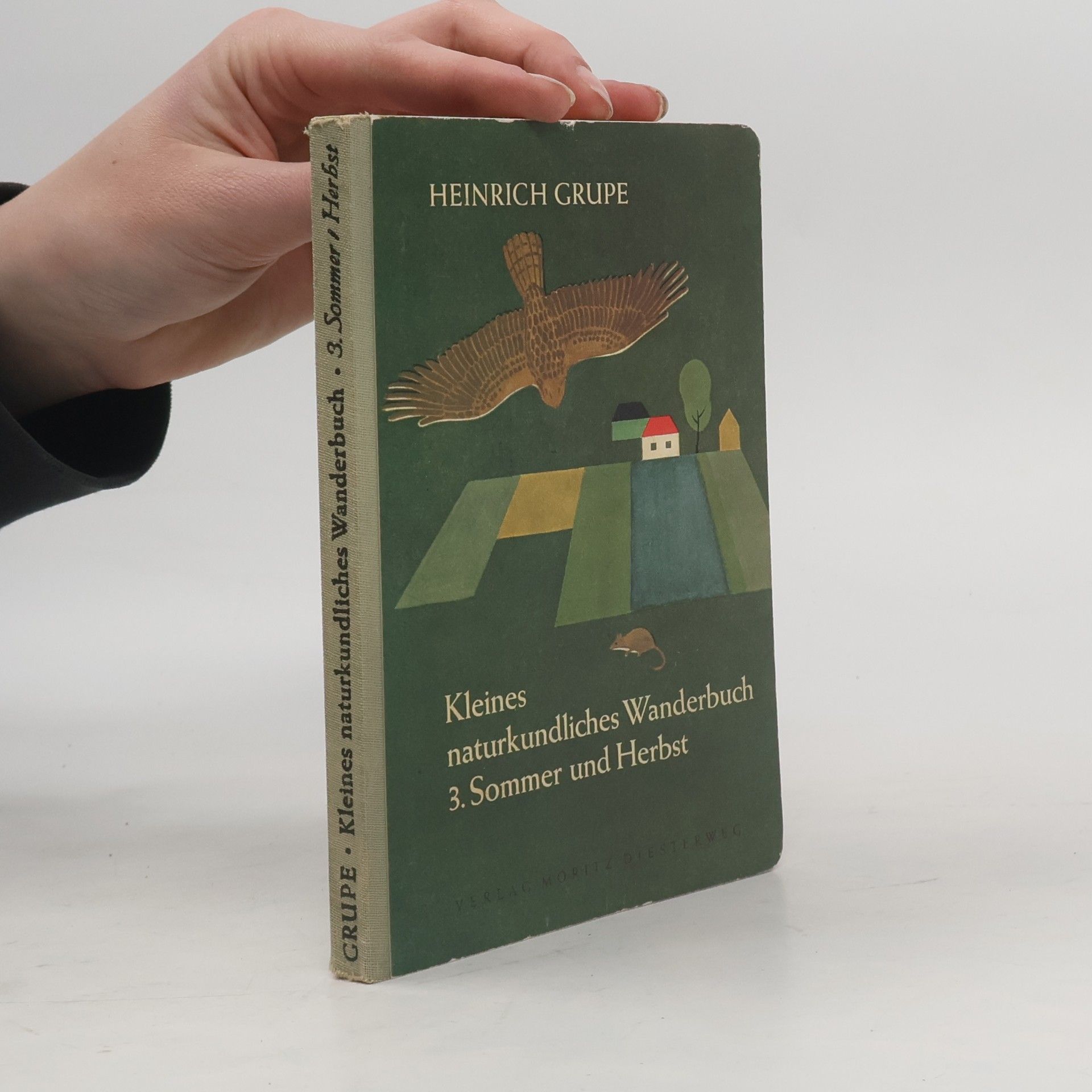Kleines naturkundliches Wanderbuch 3. Sommer und Herbst