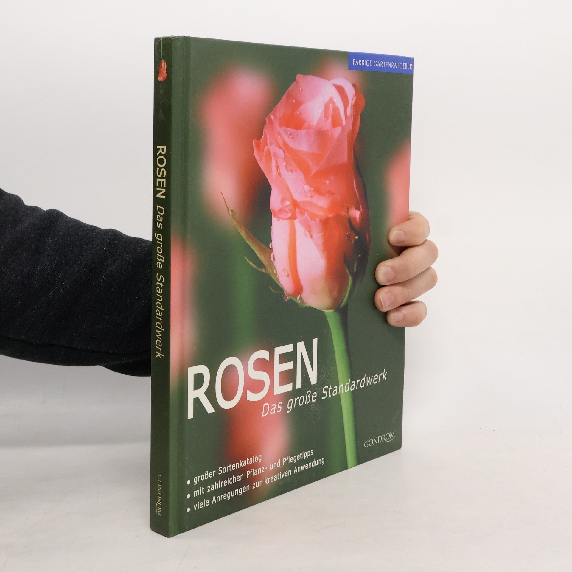 David Sqire Rosen