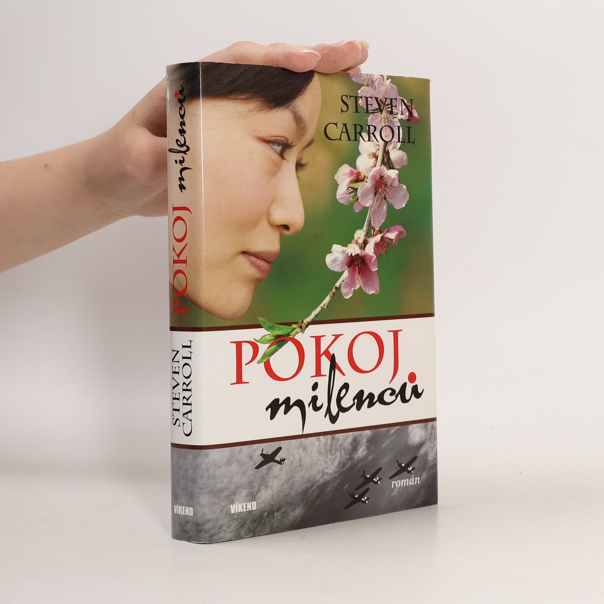 Steven Carroll Pokoj milenců