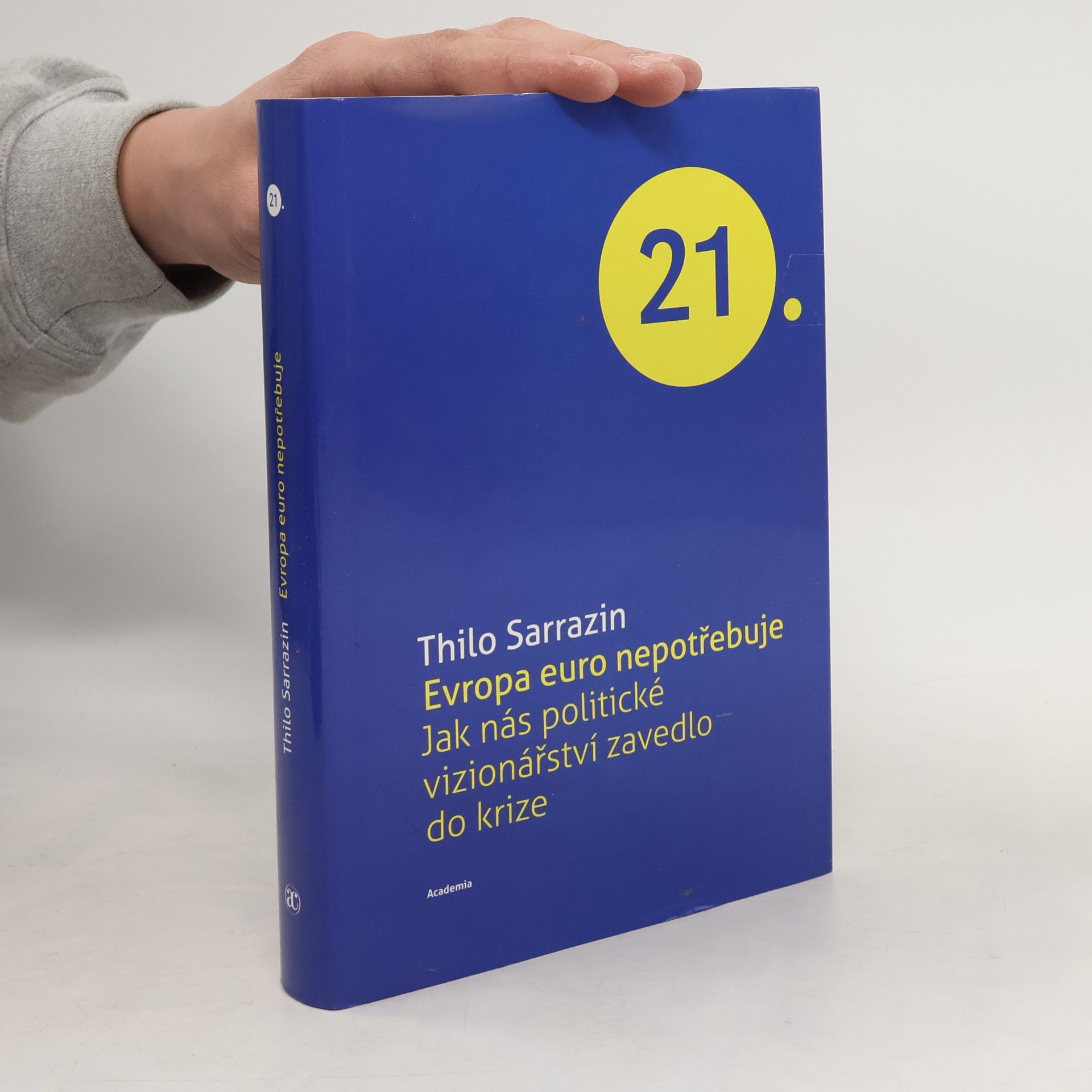 Evropa euro nepotřebuje. Jak nás politické vizionářství zavedlo do krize