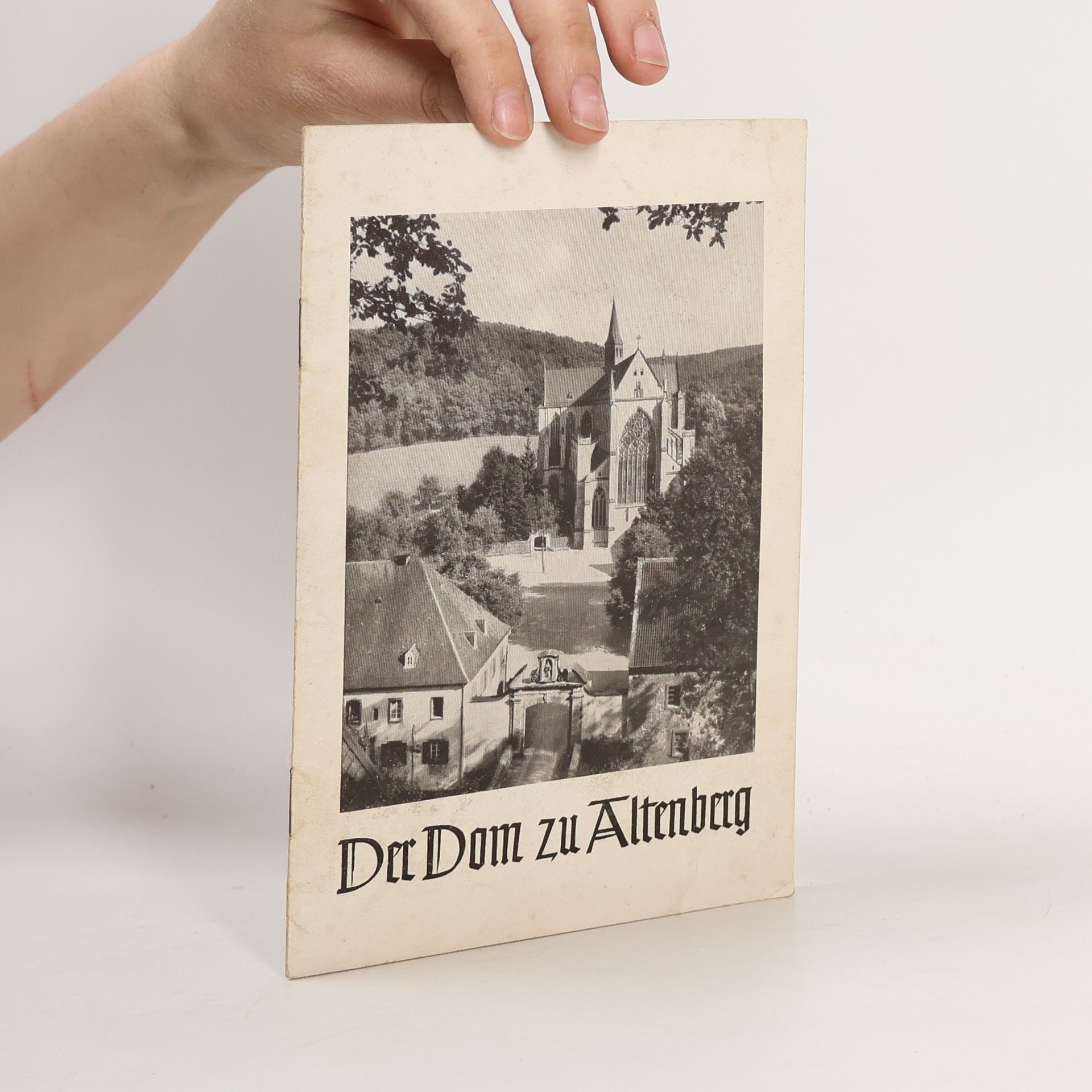Kolektiv autorů Der Dom zu Altenberg