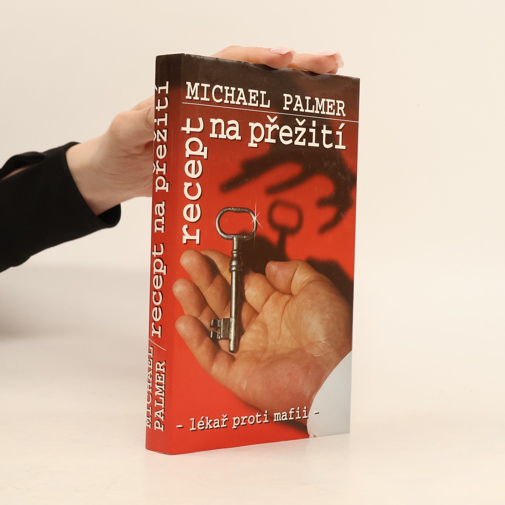 Michael Palmer Recept na přežití