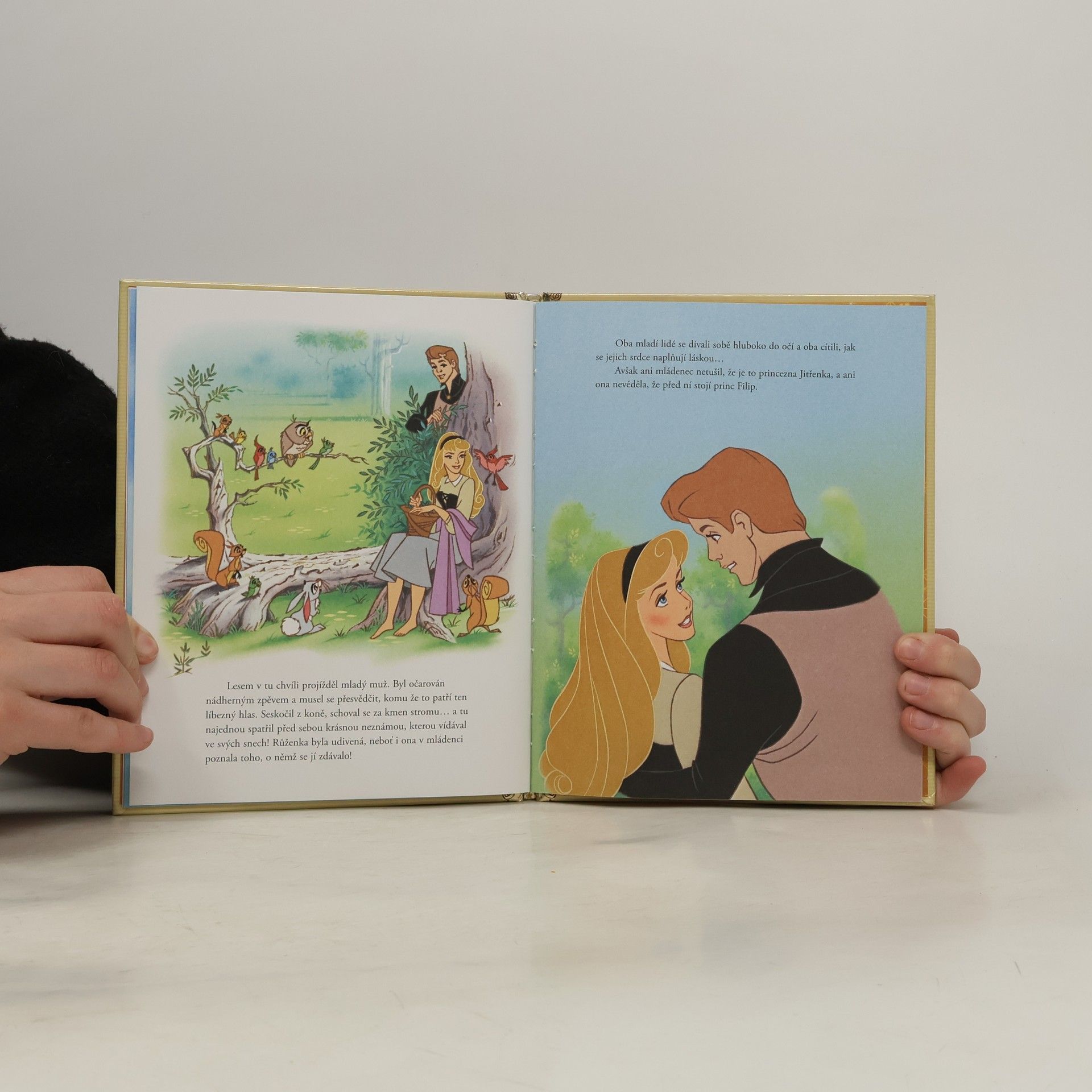 Walt Disney Zlatá sbírka pohádek 30. Šípková Růženka
