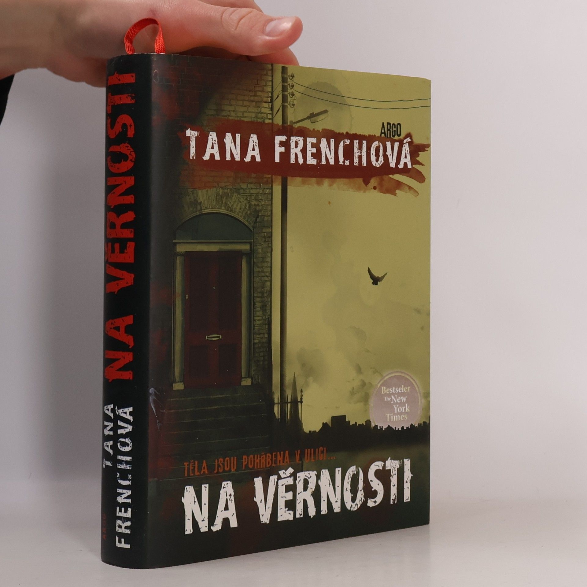 Tana French Na Věrnosti