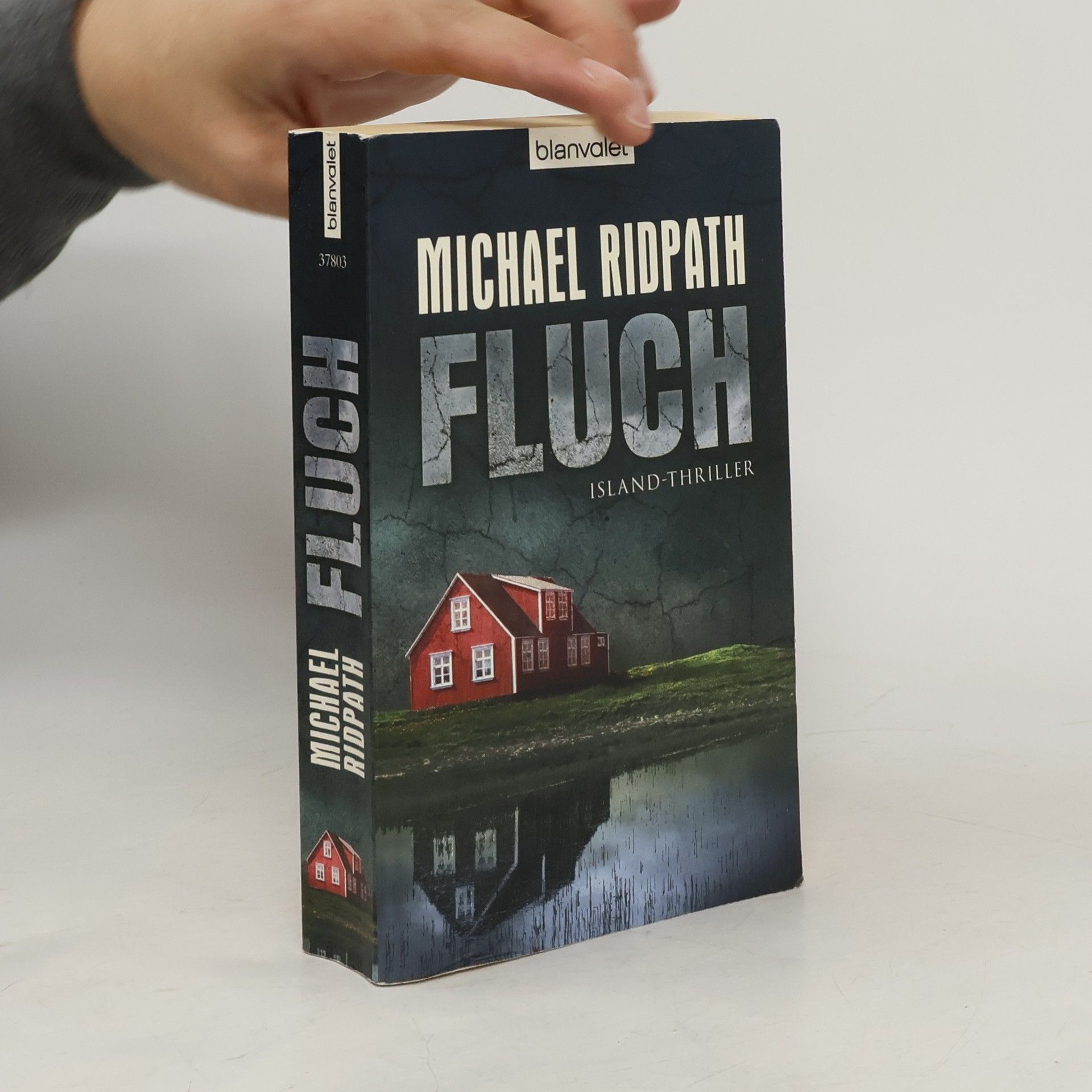 Michael Ridpath Fluch