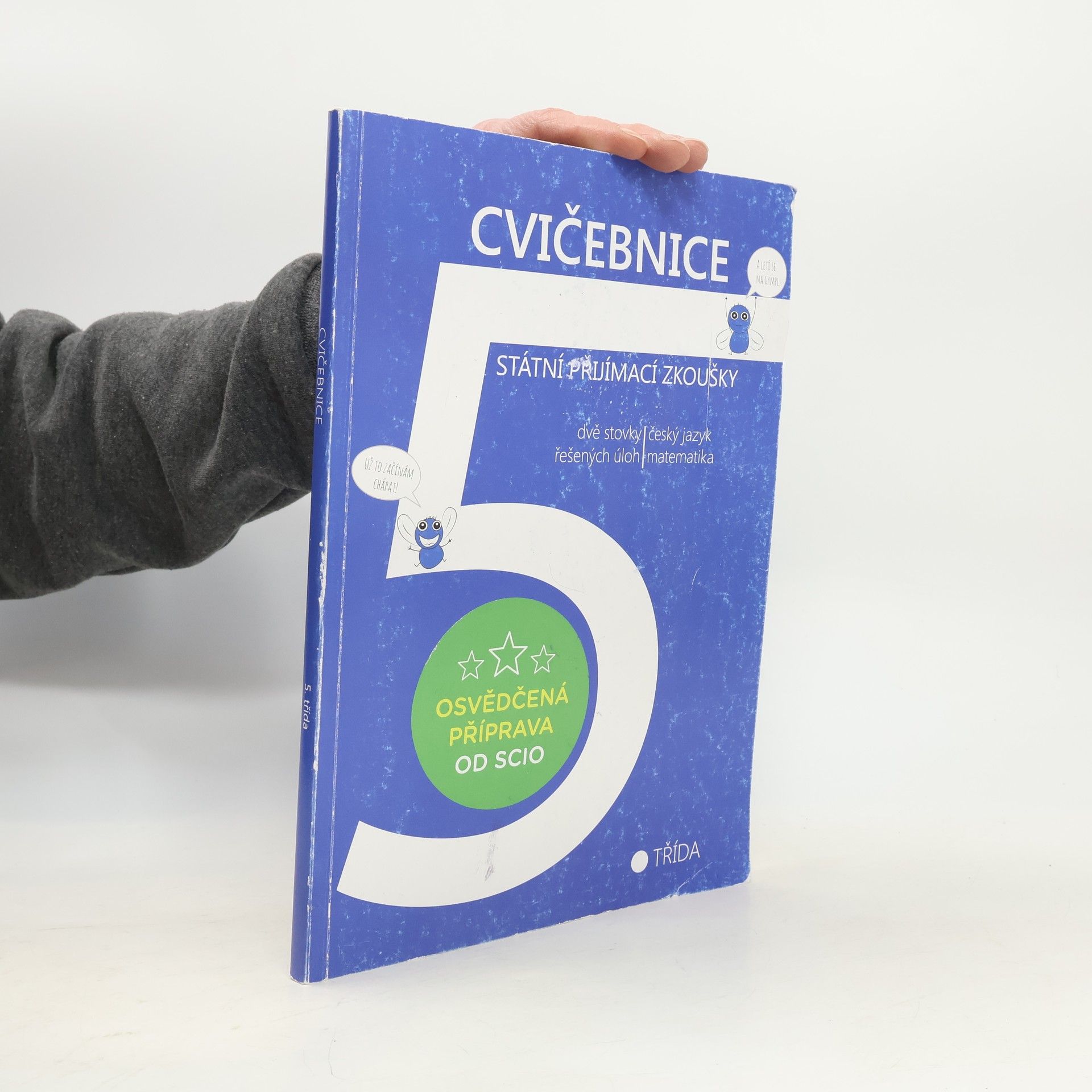 Autorenkollektiv Cvičebnice - státní přijímací zkoušky 5. třída