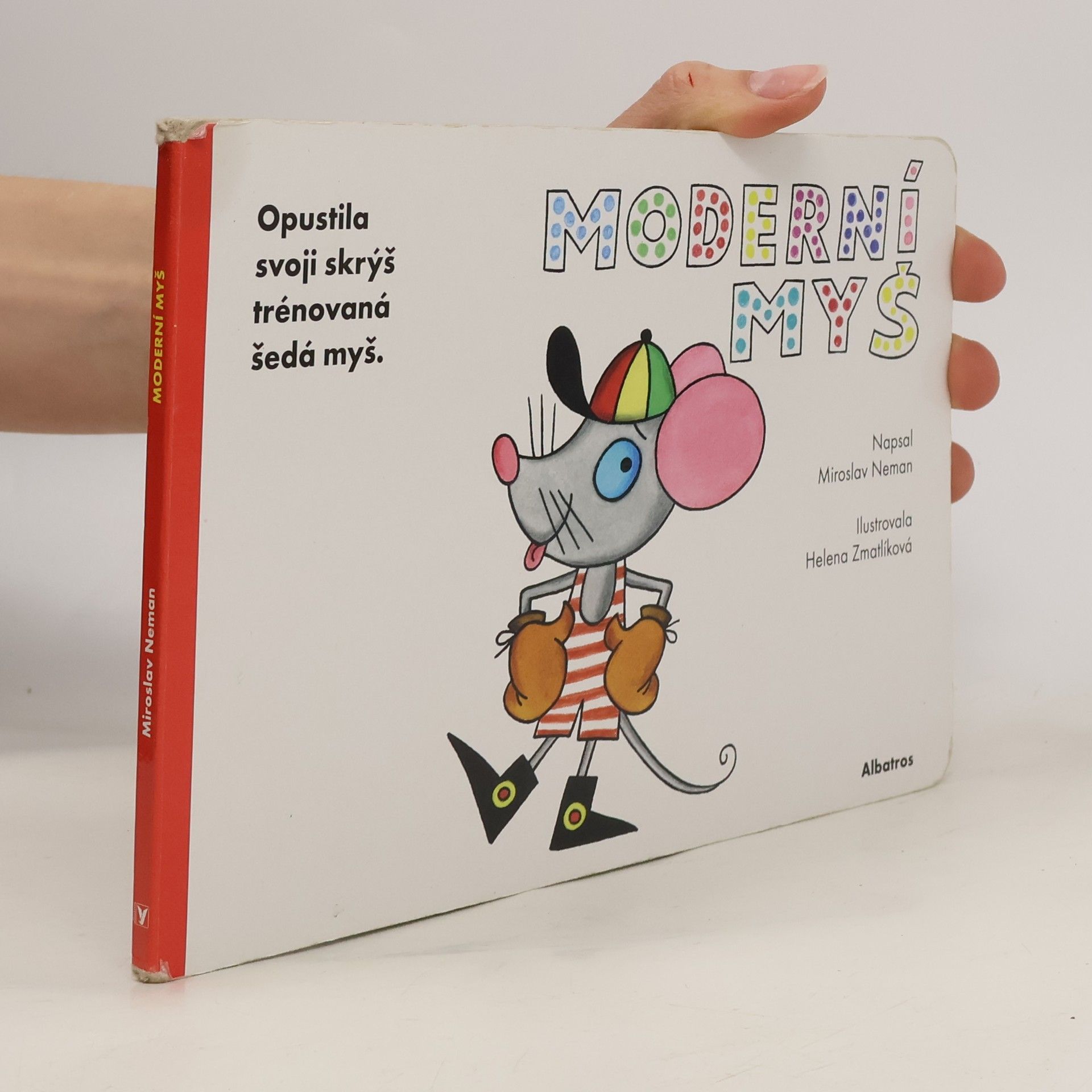 Moderní myš