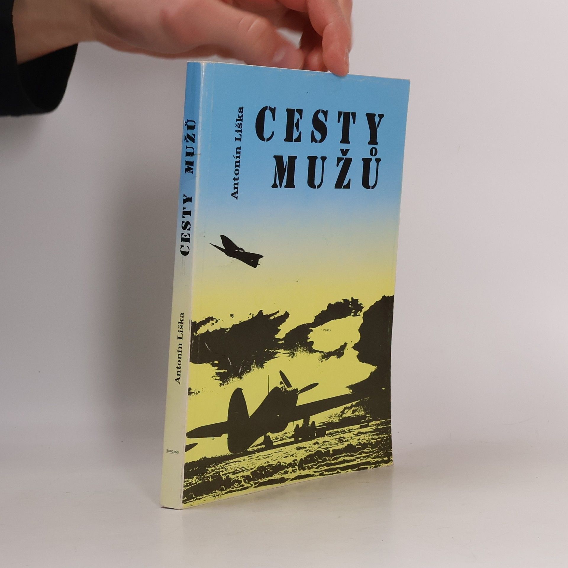Antonín Liška Cesty mužů