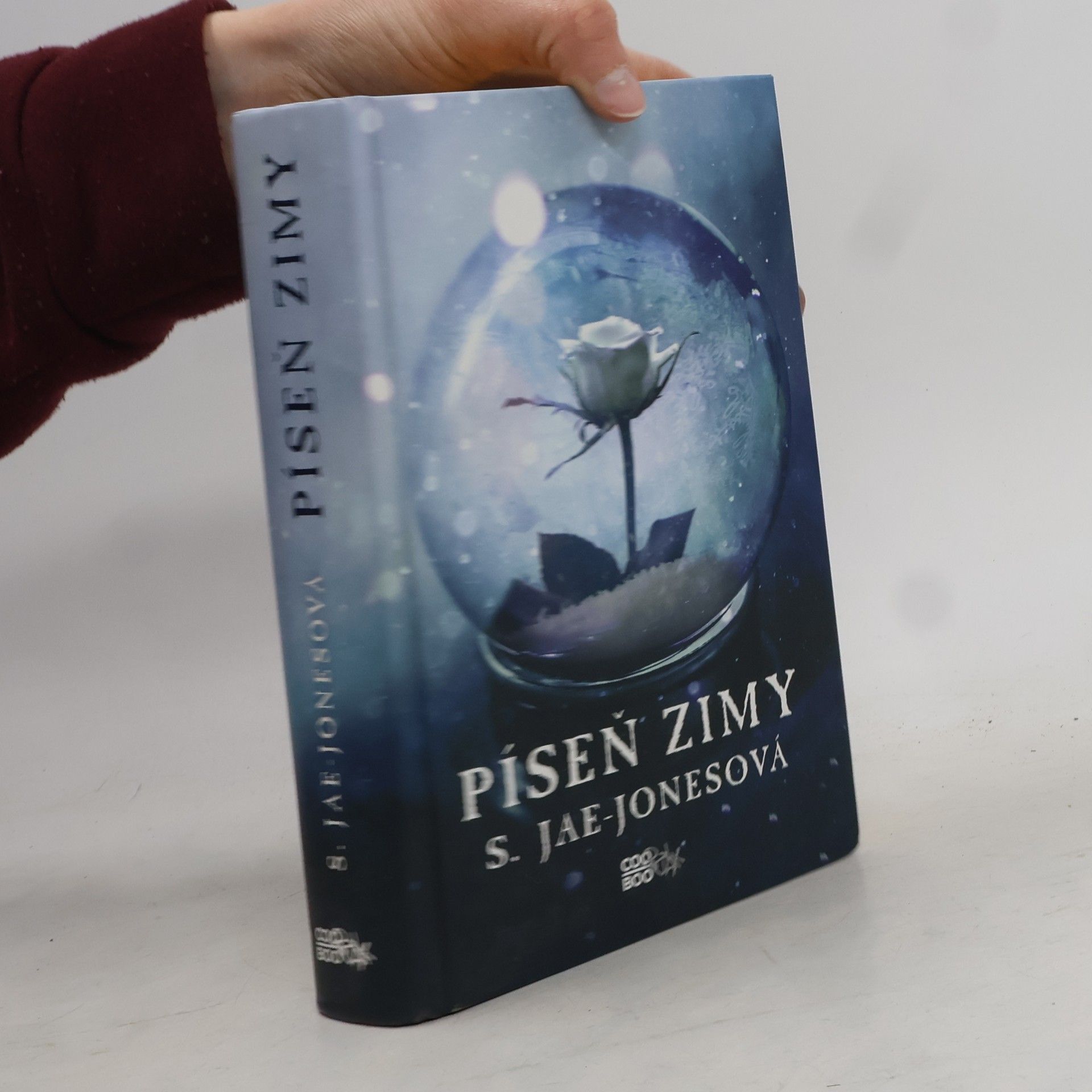 S. Jae-Jones Píseň zimy