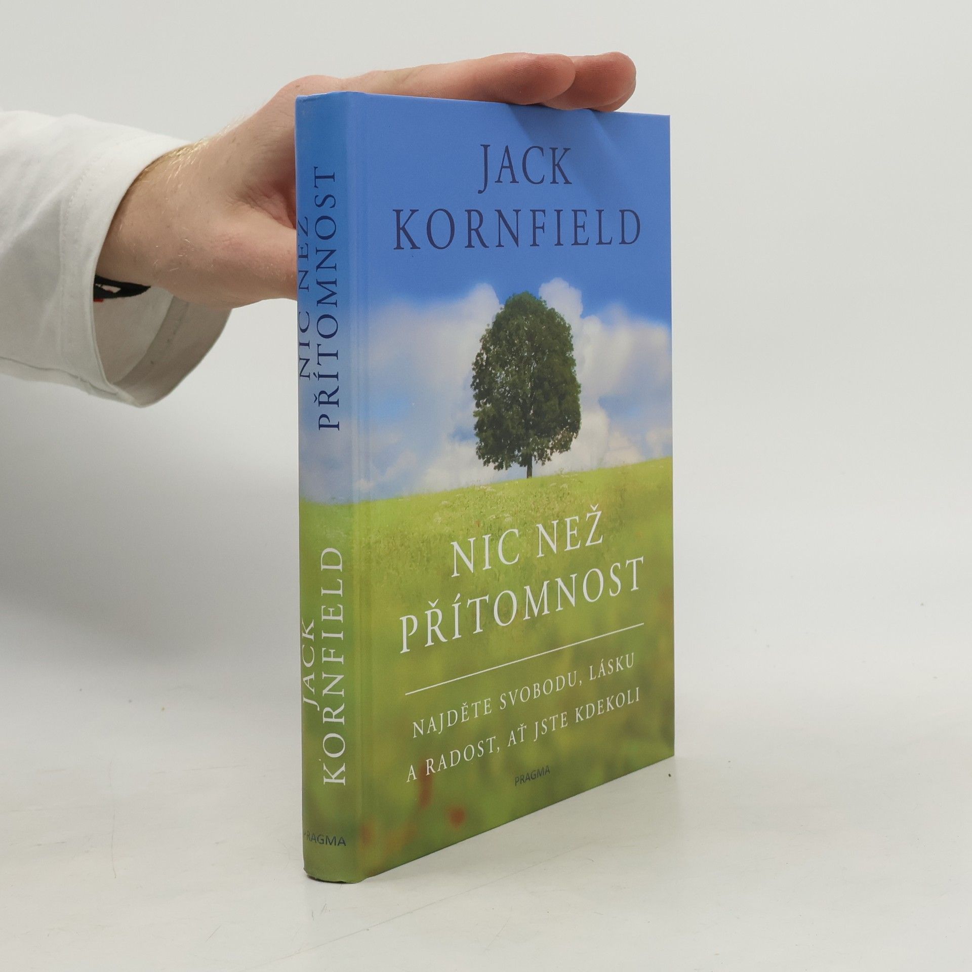 Jack Kornfield Nic než přítomnost