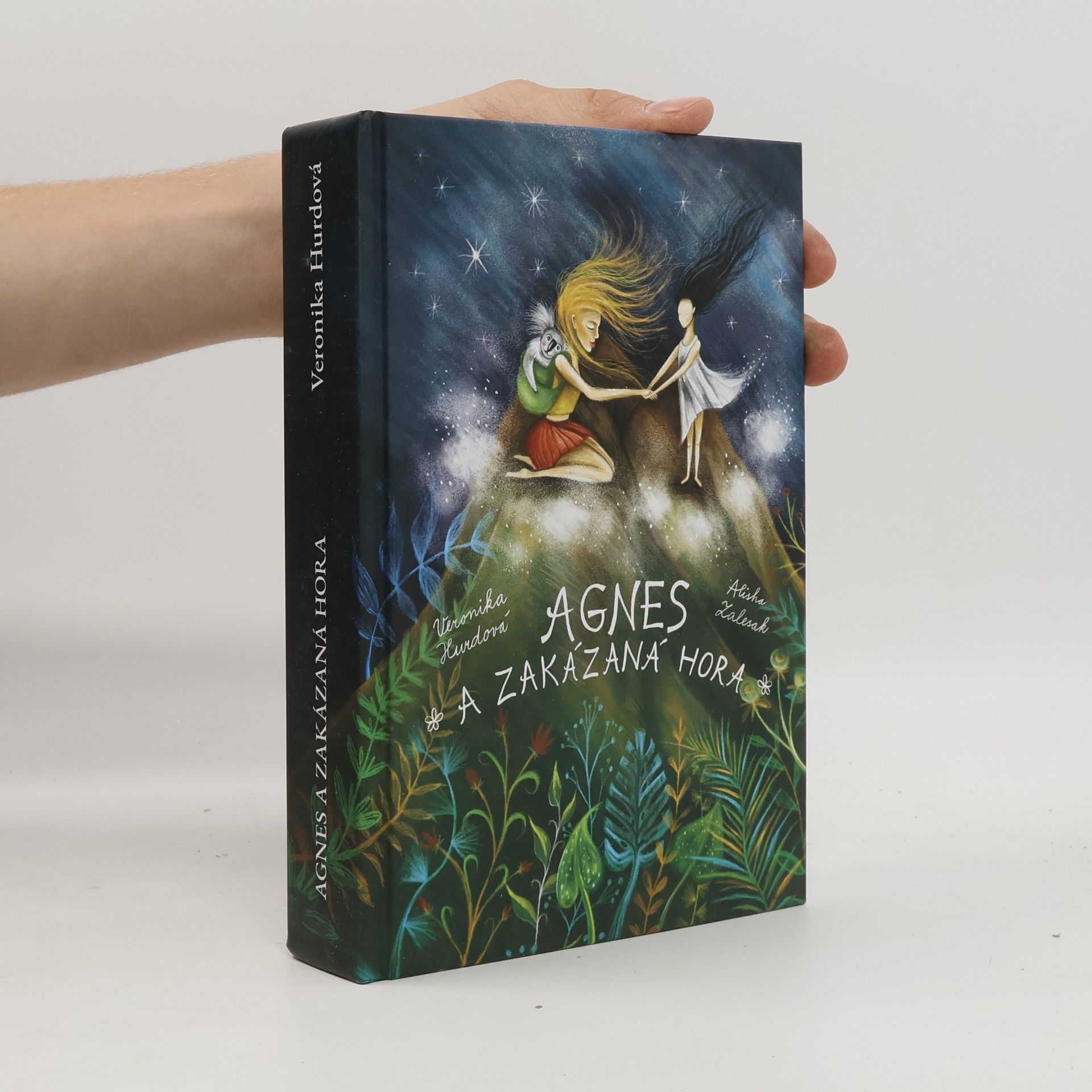 Alisha Zalesak Agnes a Zakázaná hora