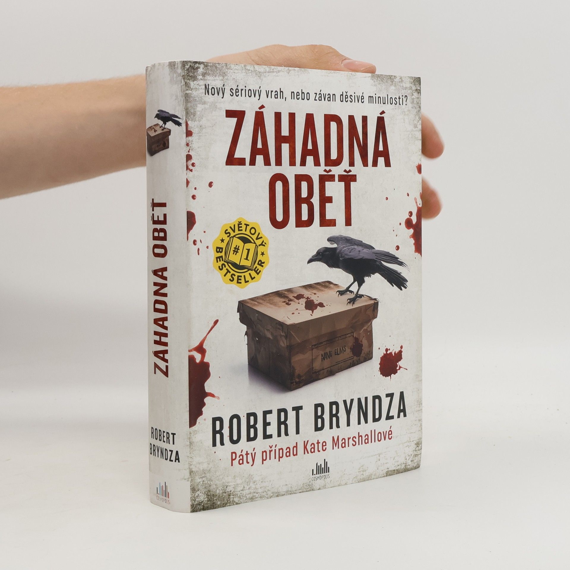 Robert Bryndza Záhadná oběť