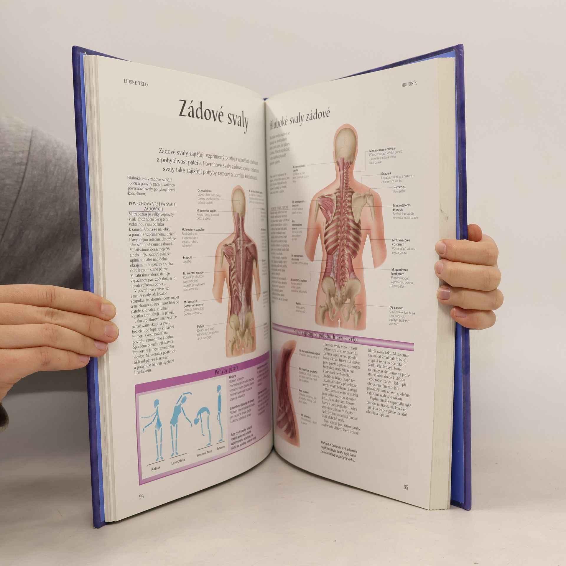 Peter H. Abrahams Lidské tělo : atlas anatomie člověka