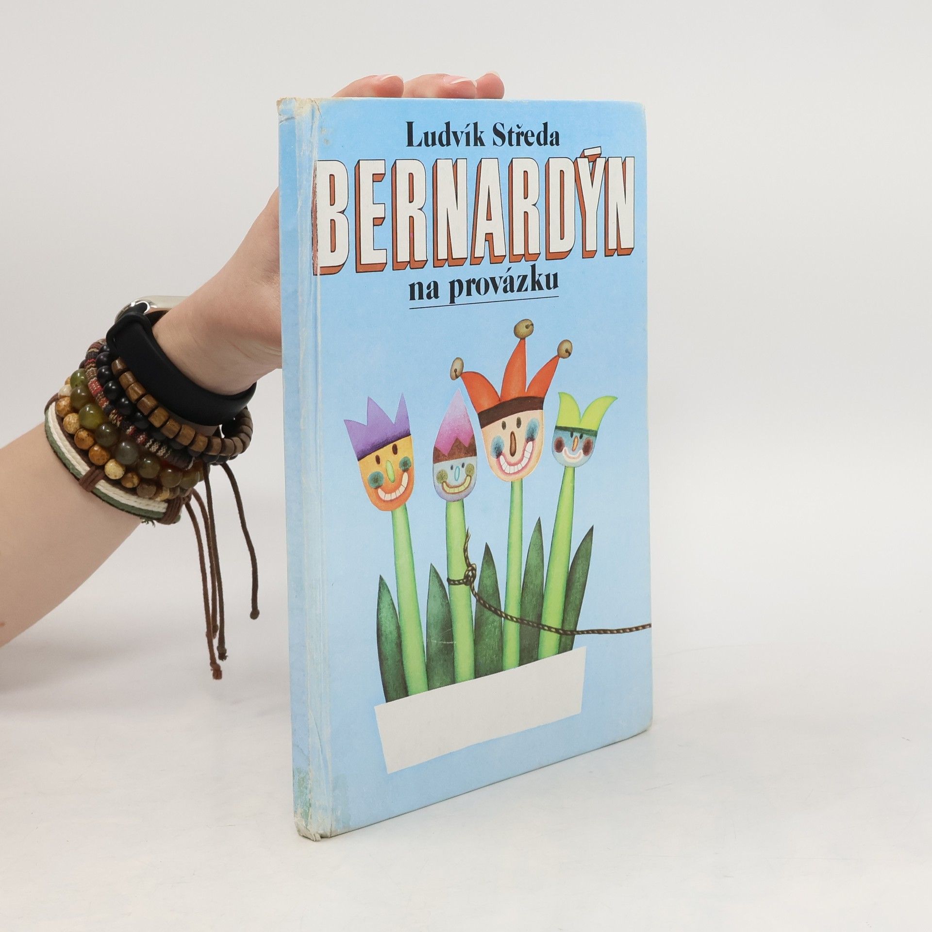 Jana Sigmundová Bernardýn na provázku