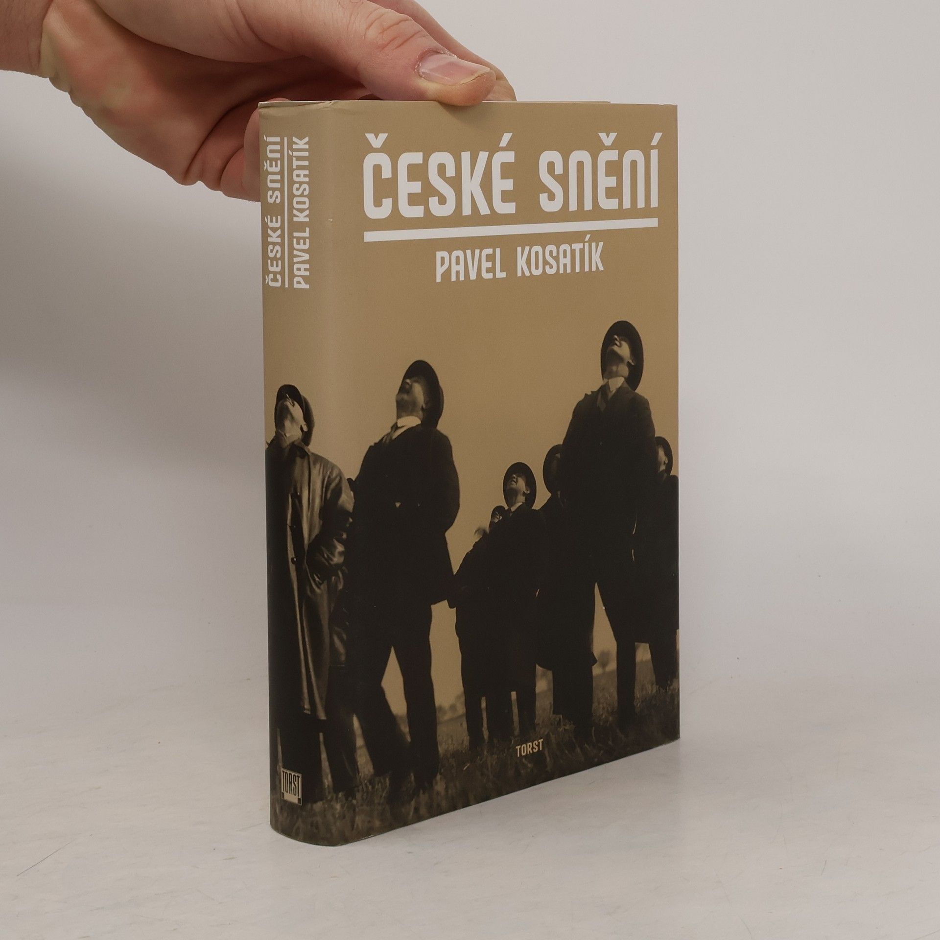 Pavel Kosatík České snění