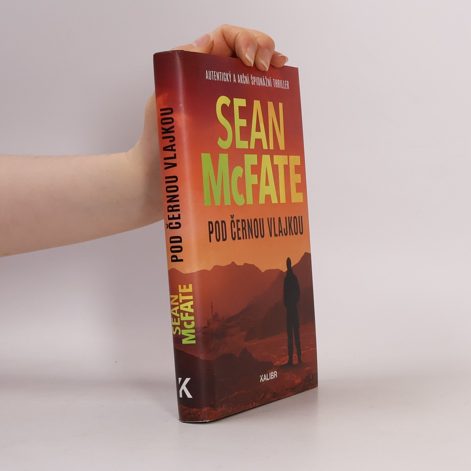 Sean McFate Pod černou vlajkou