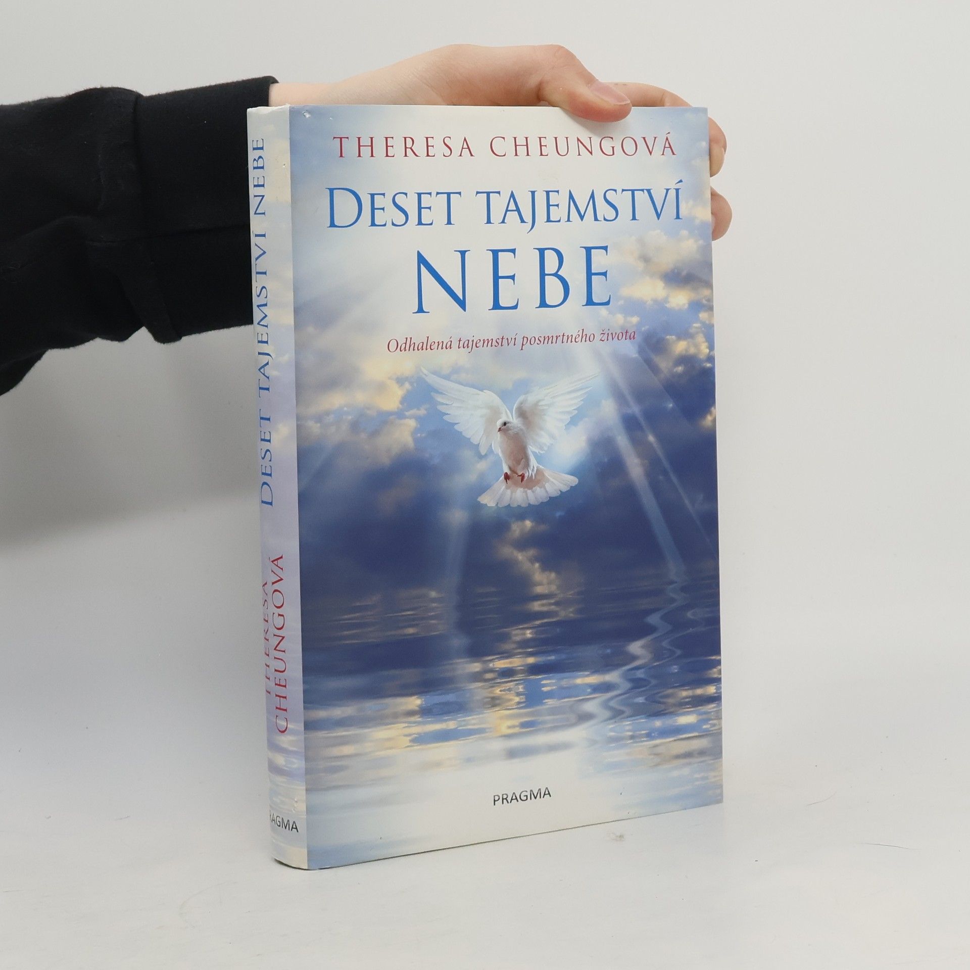 Theresa FrancisCheung Deset tajemství nebe